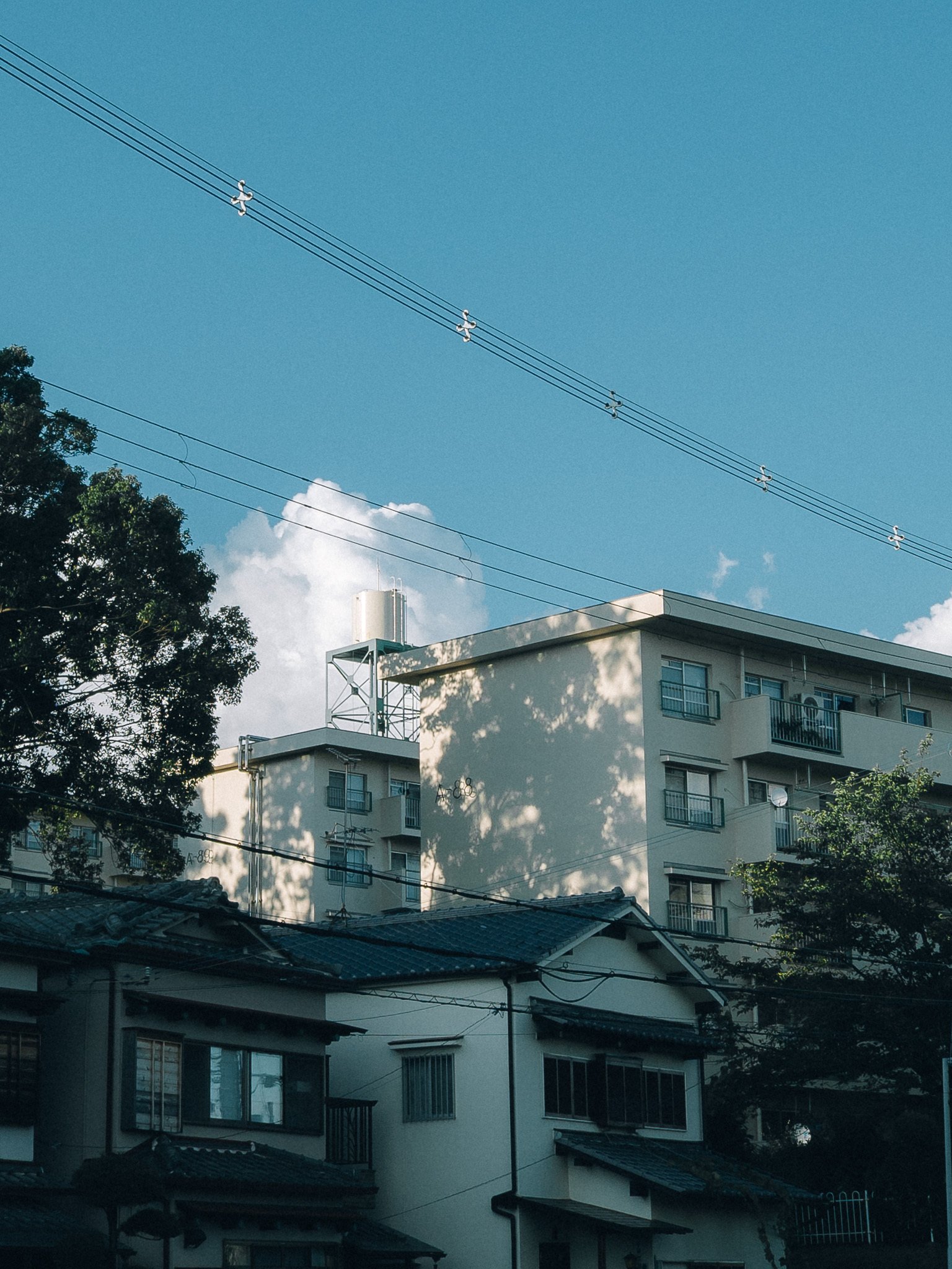 抽象と記憶の世界が交錯するプリセット「Echo」発売｜mitani kazariya