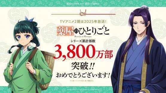 薬屋のひとりごと11口絵＜Ｂ＞（額装高精細デジタルカラー） 713iMntCioL._UF350,350_QL50_.jpg