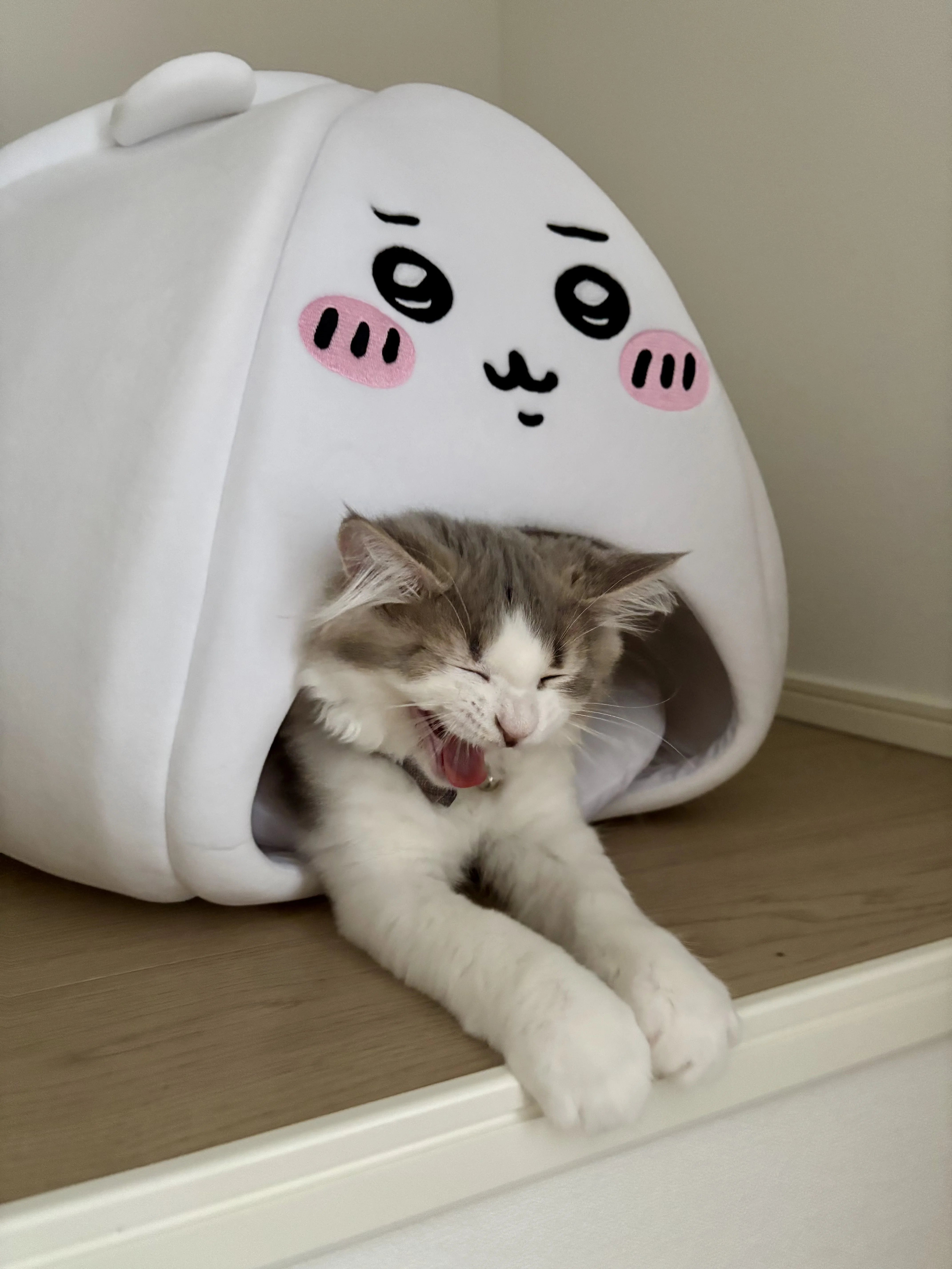 猫好き様！ 3本 7万5千円