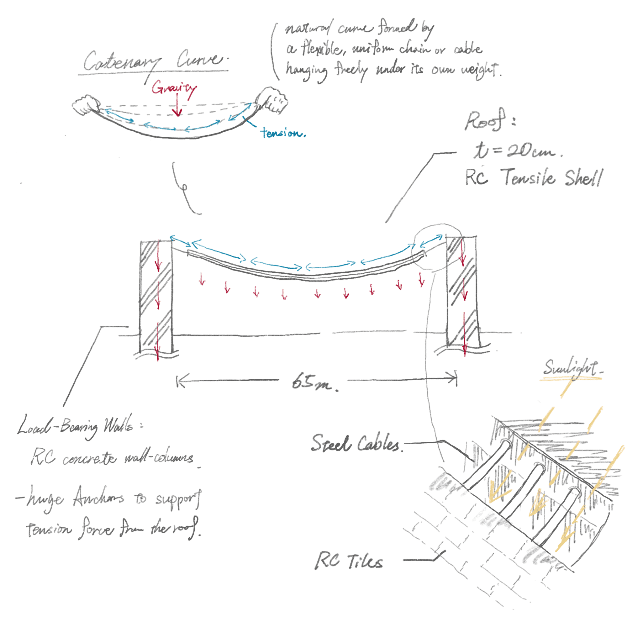 重力に身を委ねた静かな一枚屋根|リスボン万博ポルトガル館