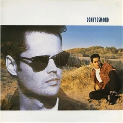 和訳】Soldier Of Love / ソルジャー・オブ・ラヴ（Donny Osmond 