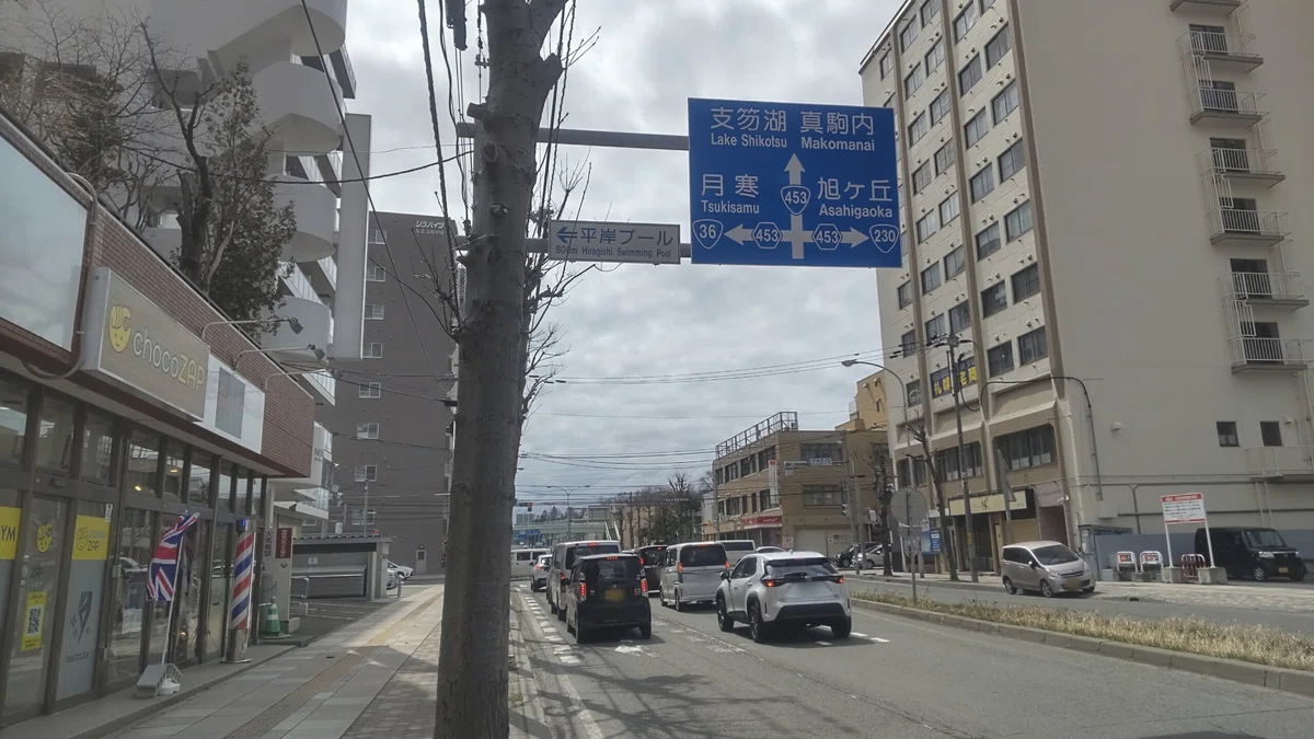 南平岸の国道沿いの街並みの写真