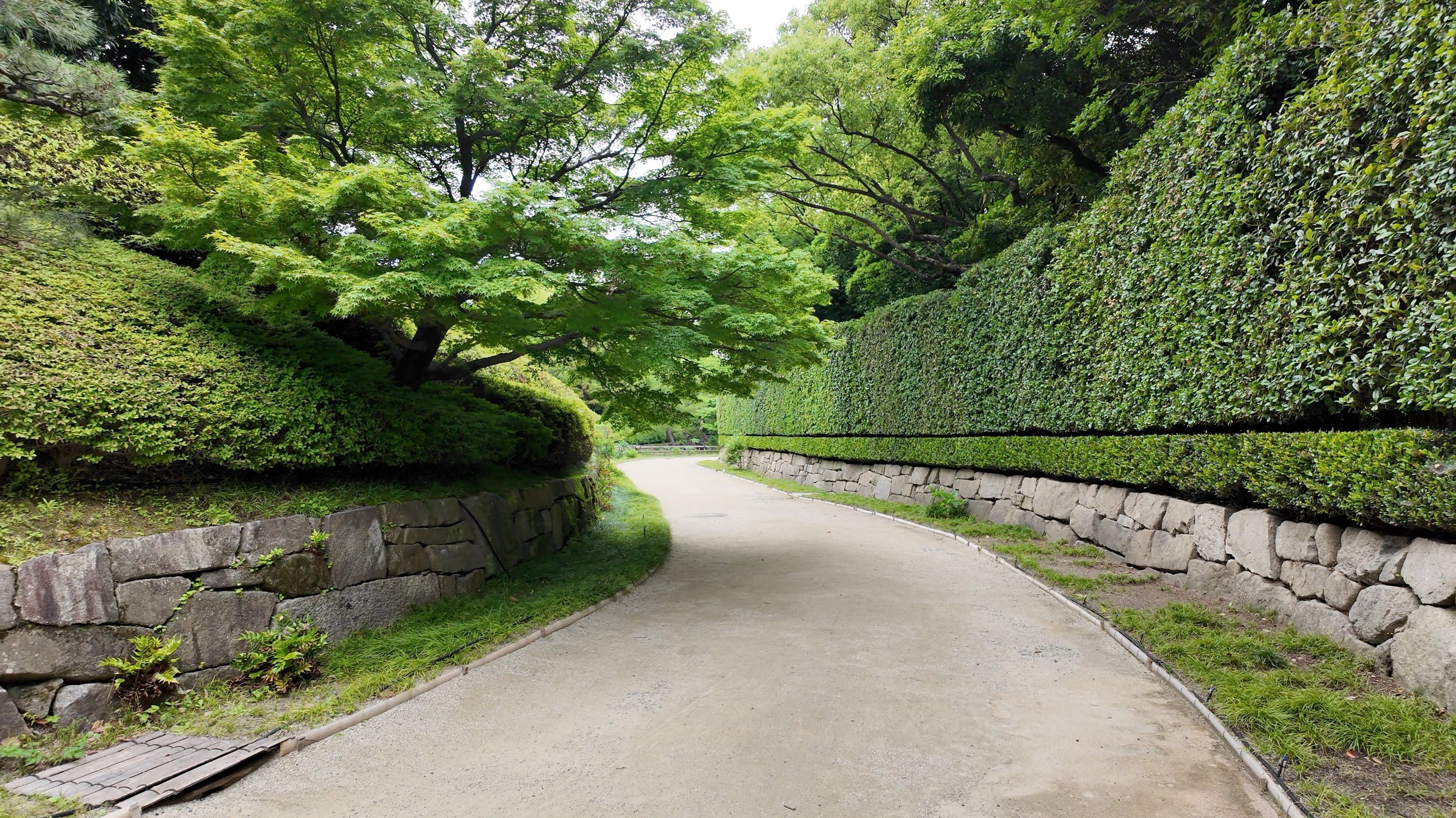 新緑きらめく白鳥庭園をそぞろ歩き｜Masami Ikawa