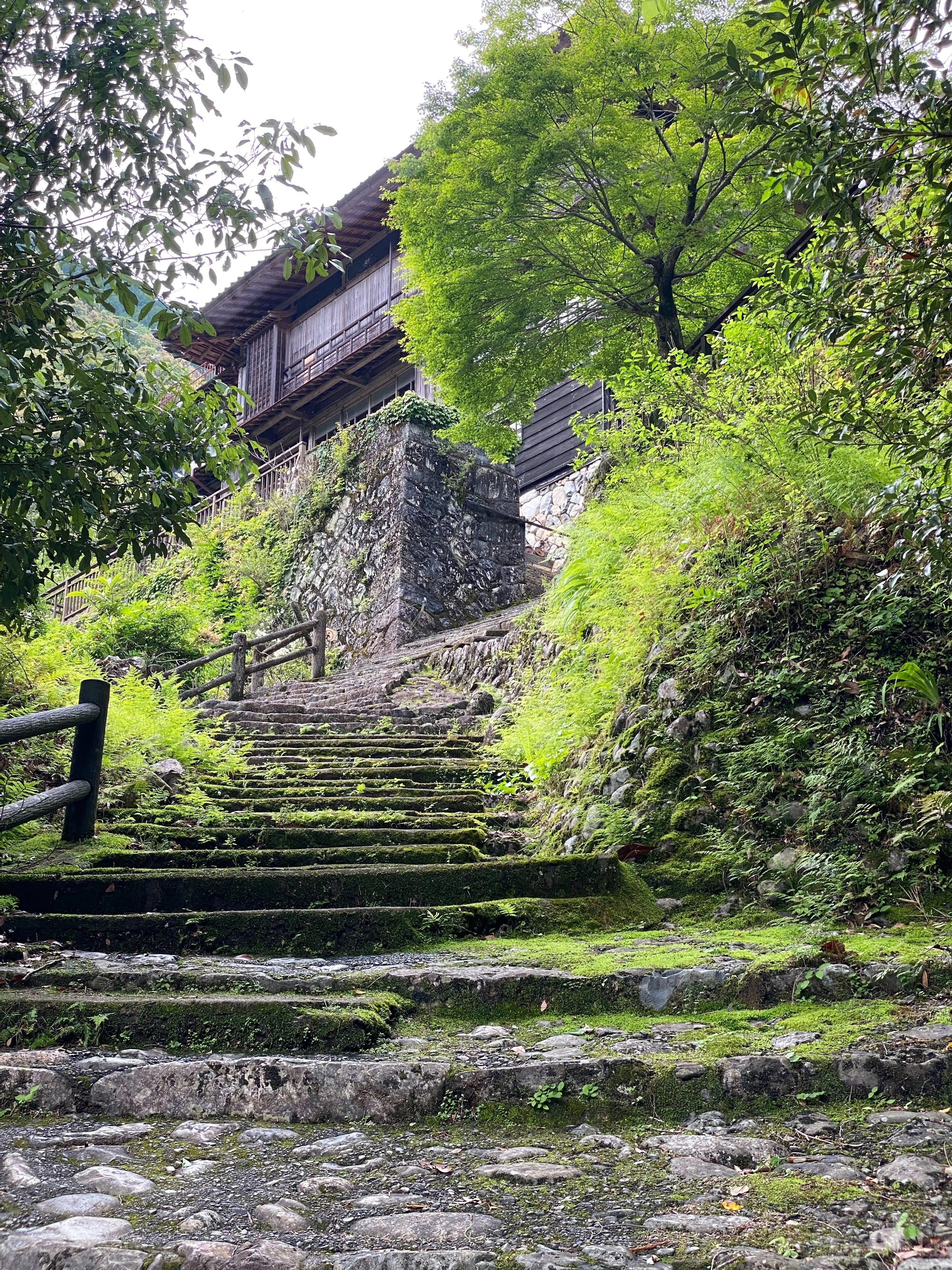 三重旅25‐②】 瀞峡・瀞八丁｜高坂正澄