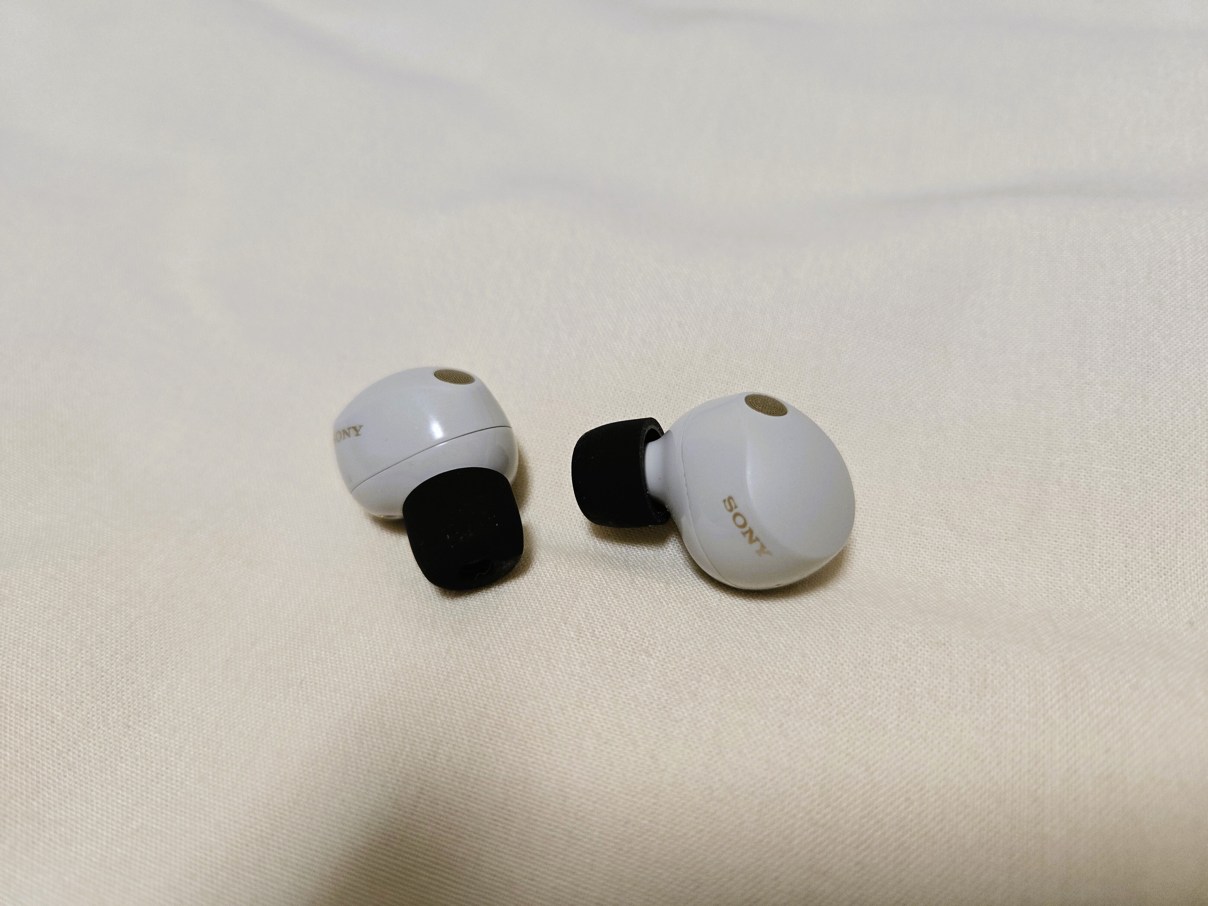 Amazon.co.jp: 【WF1000XM5 ブラック と AZLA SednaEarfit