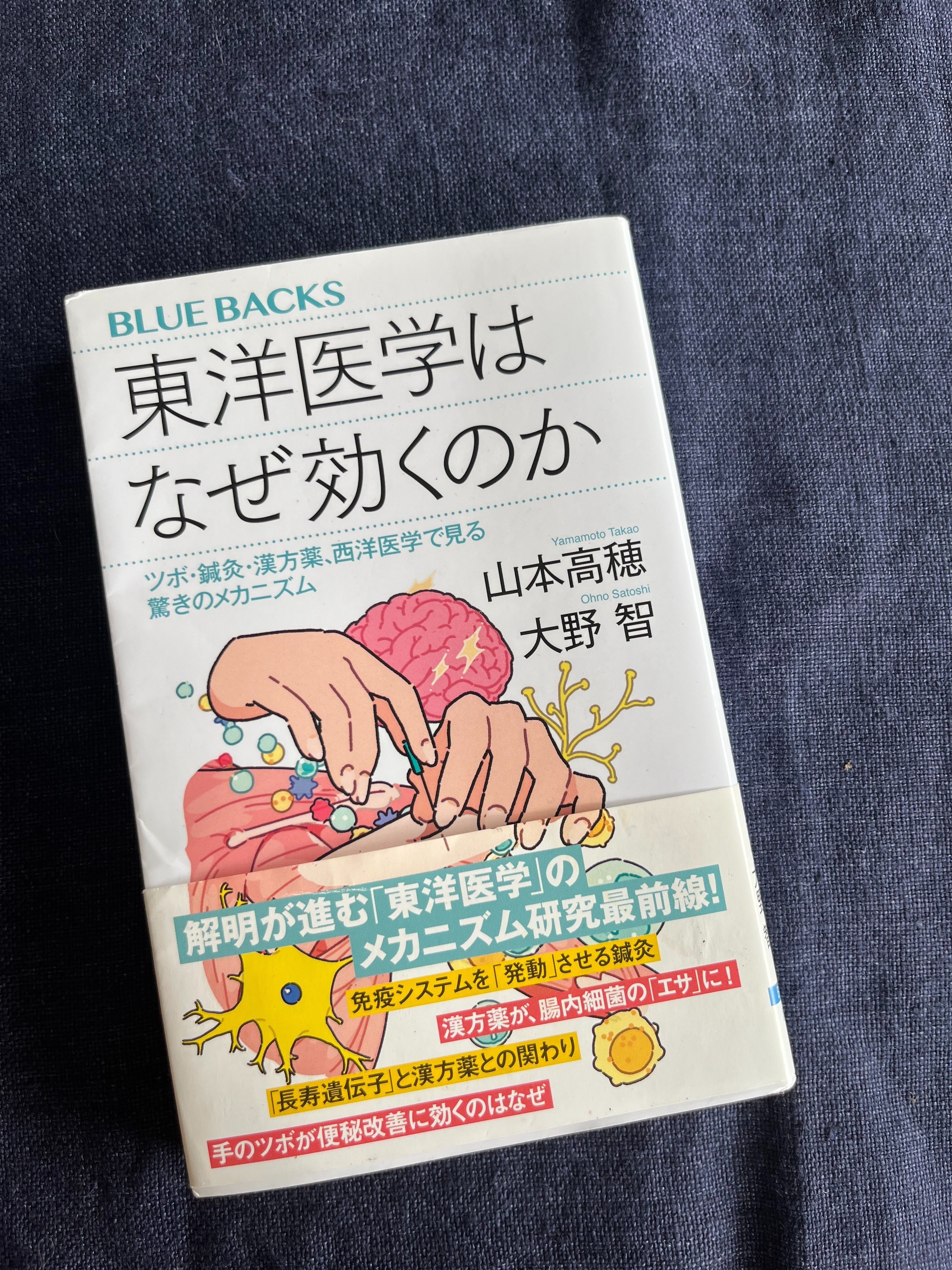鍼灸学生になりました 〜その1｜通学編｜奥津典子