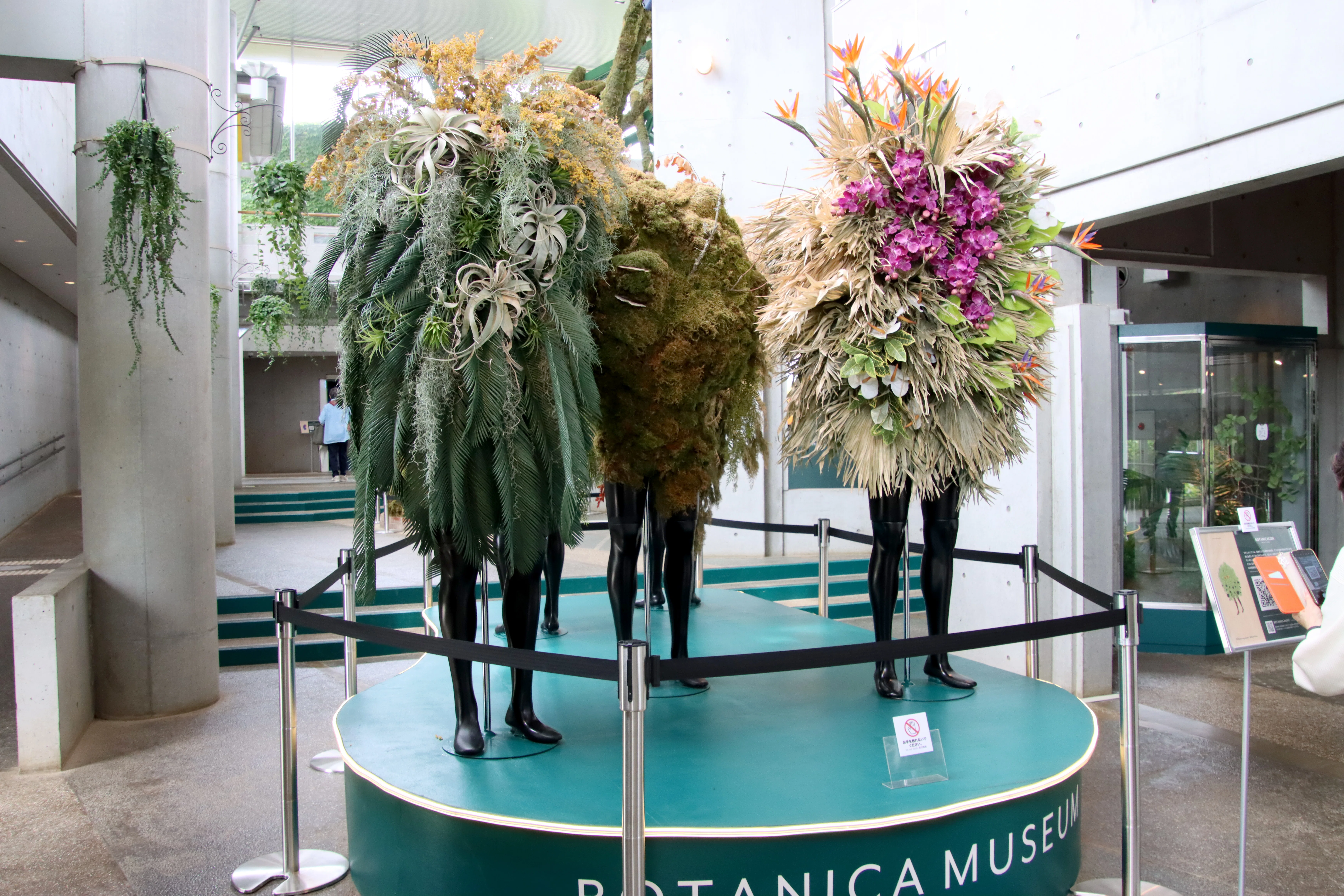 まなぶ】雨でも楽しめる千葉のBOTANICA MUSEUM。満開のバラの次は