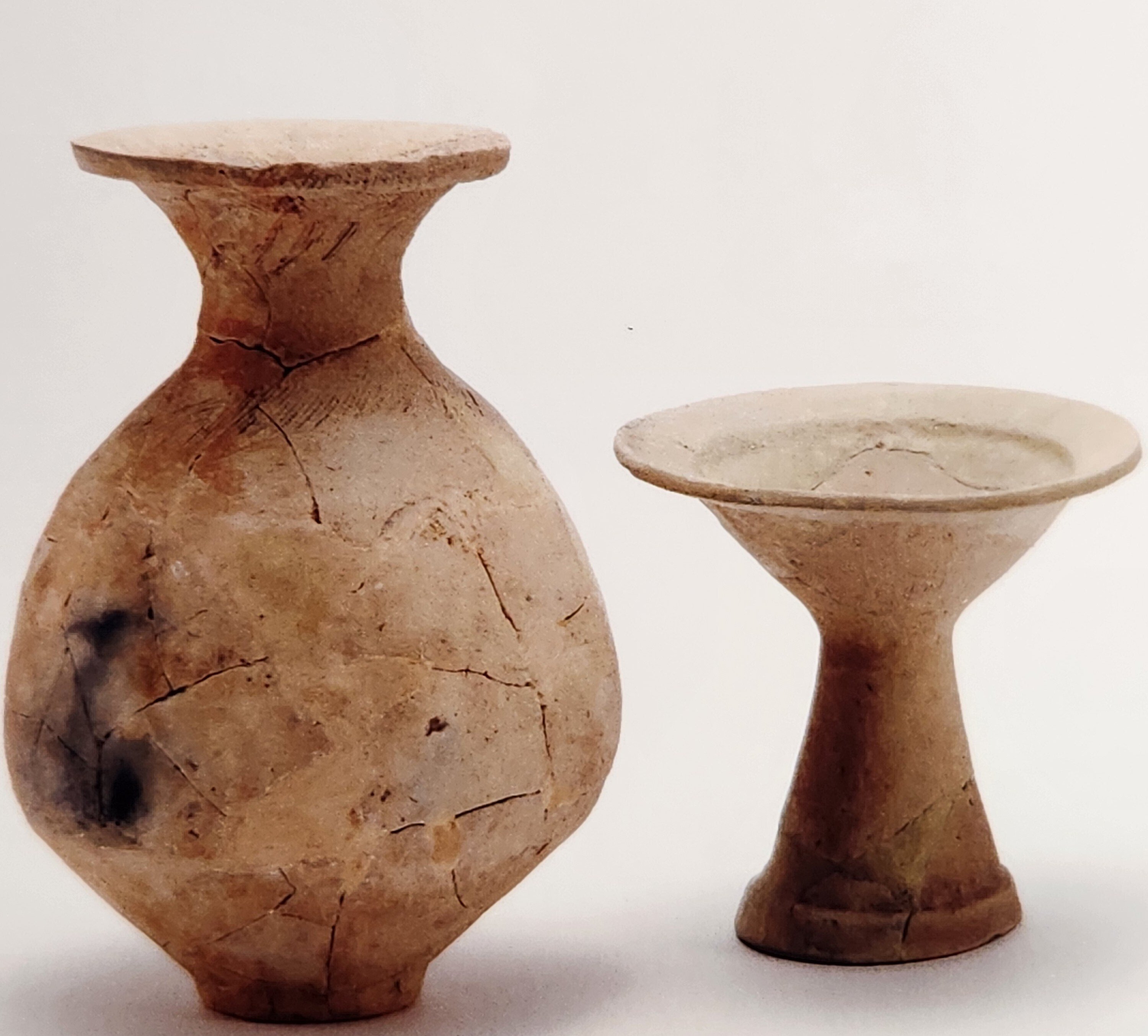 紀元2世紀の浜松を考える第2回『弥生文化の大断層、天竜川』を聴講して