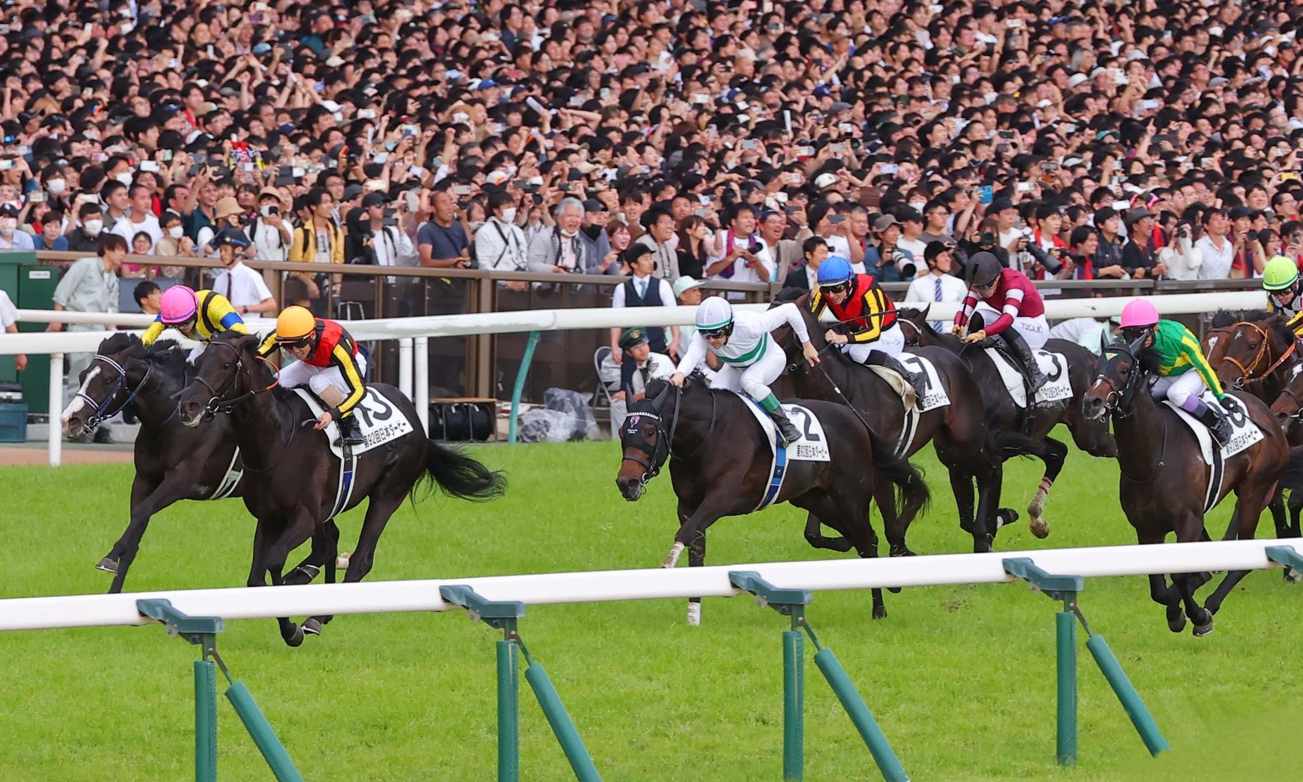 東京優駿～日本ダービー（GⅠ）回顧】推奨馬マスカレードボール2