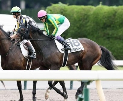 マスカレードボール 日本ダービー セット 東京優駿～日本ダービー（GⅠ）回顧】推奨馬マスカレードボール2