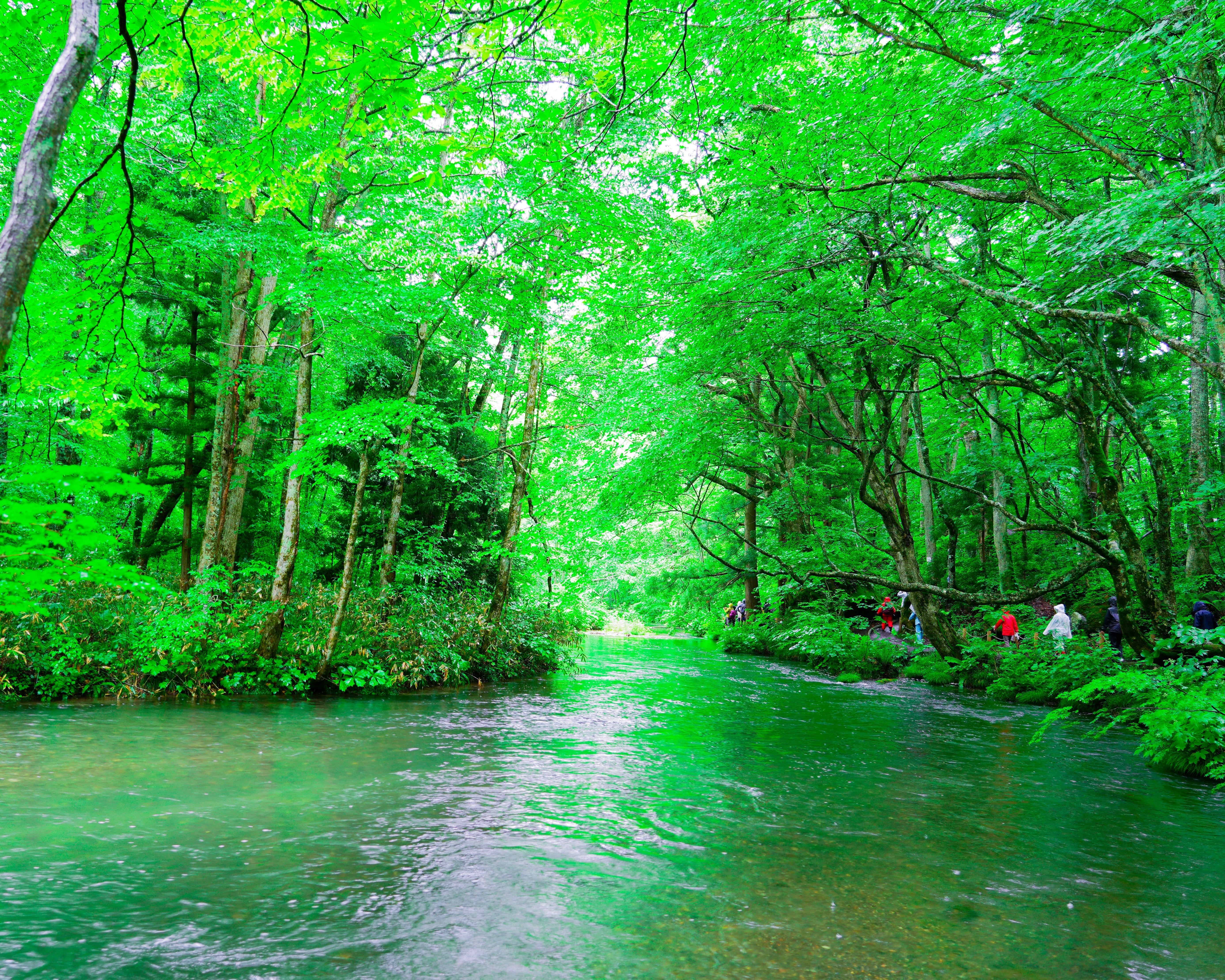 癒しをくれた景色へ、もう一度 ーー2022年の記憶と、再びの旅｜hana