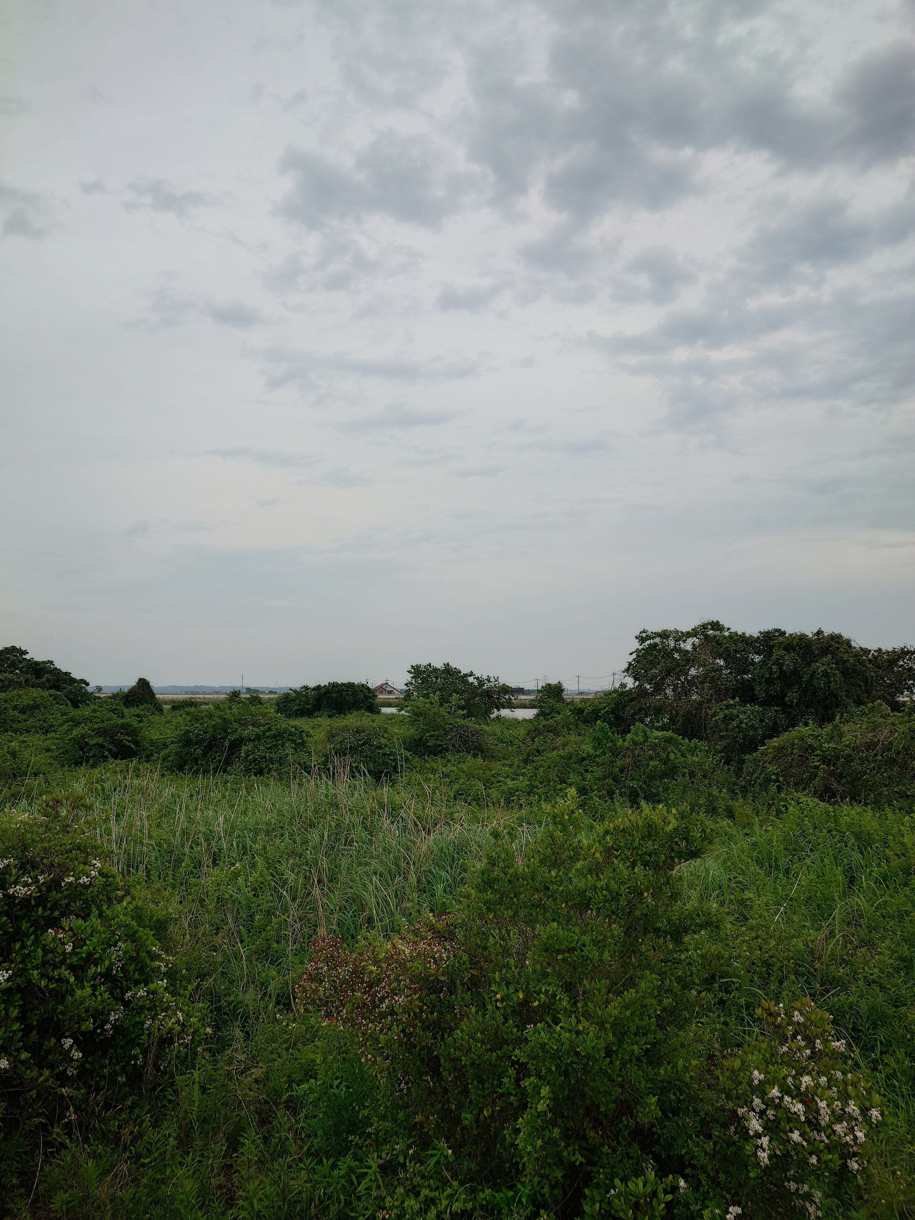 ダムカード紹介 霞ケ浦｜雨雲模様＠怪談師見習い