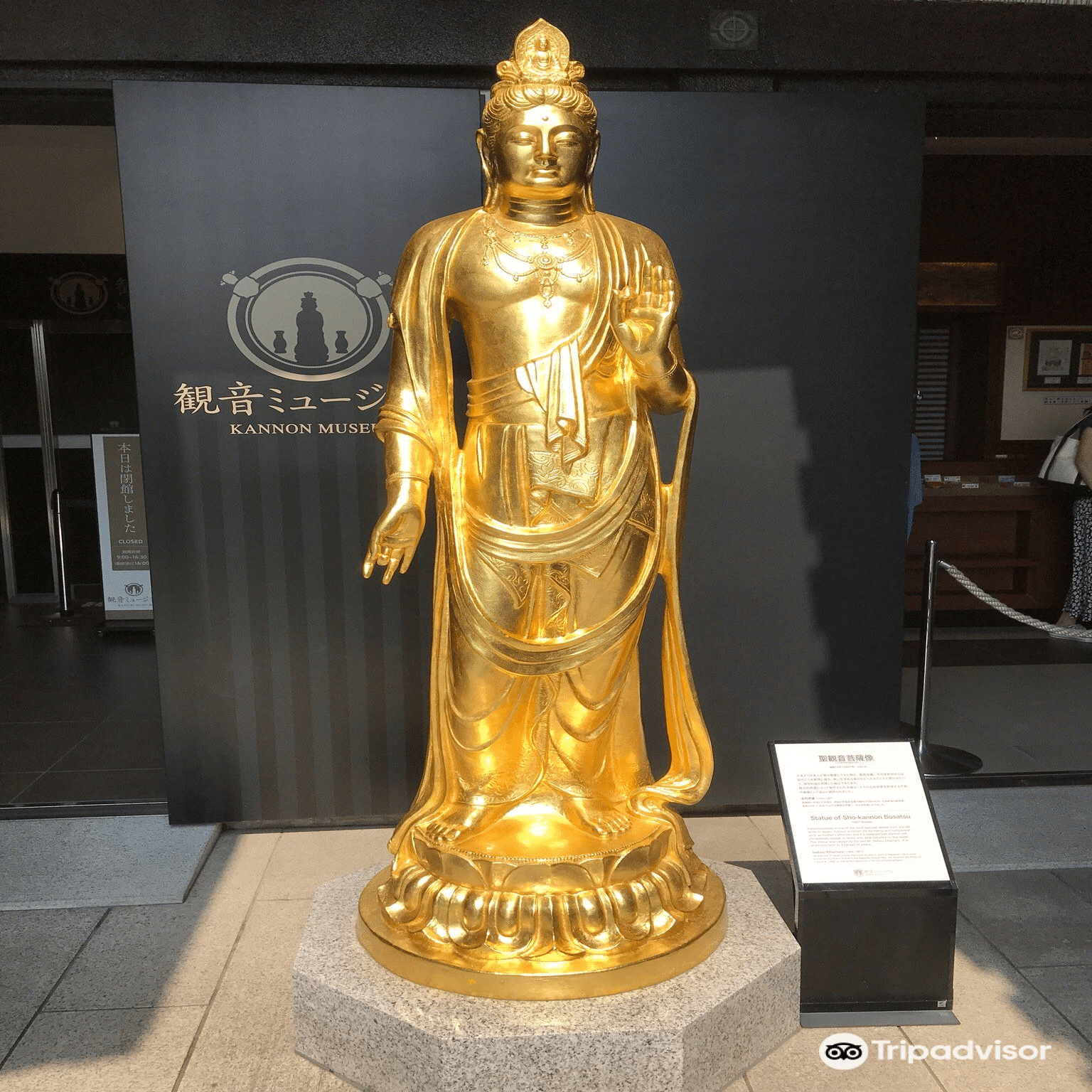 保存版｜鎌倉・長谷寺の魅力を徹底解説【歴史・見どころ・アクセスまで