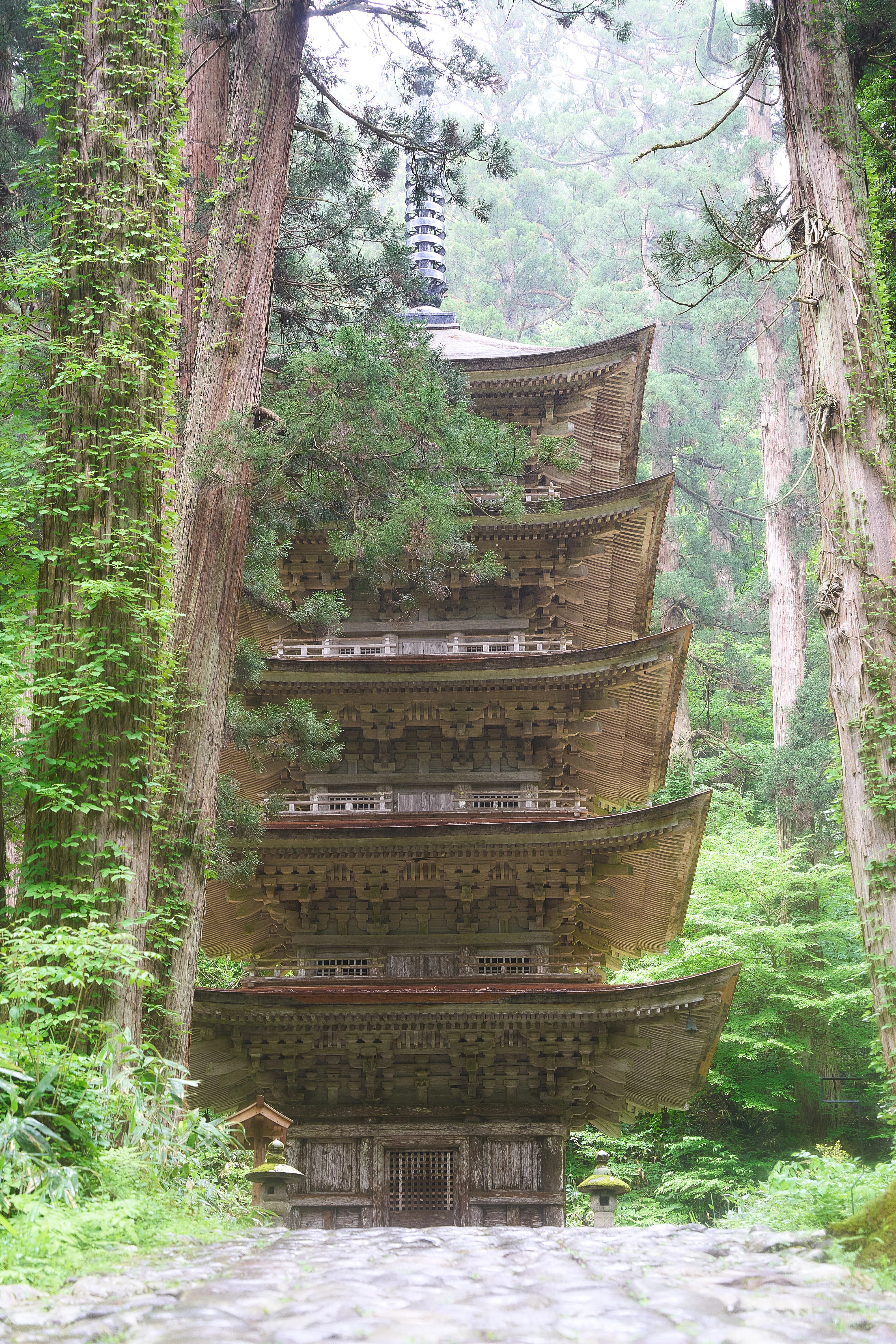 巨木の生い茂る参道！新緑の羽黒山・出羽三山神社【山形県