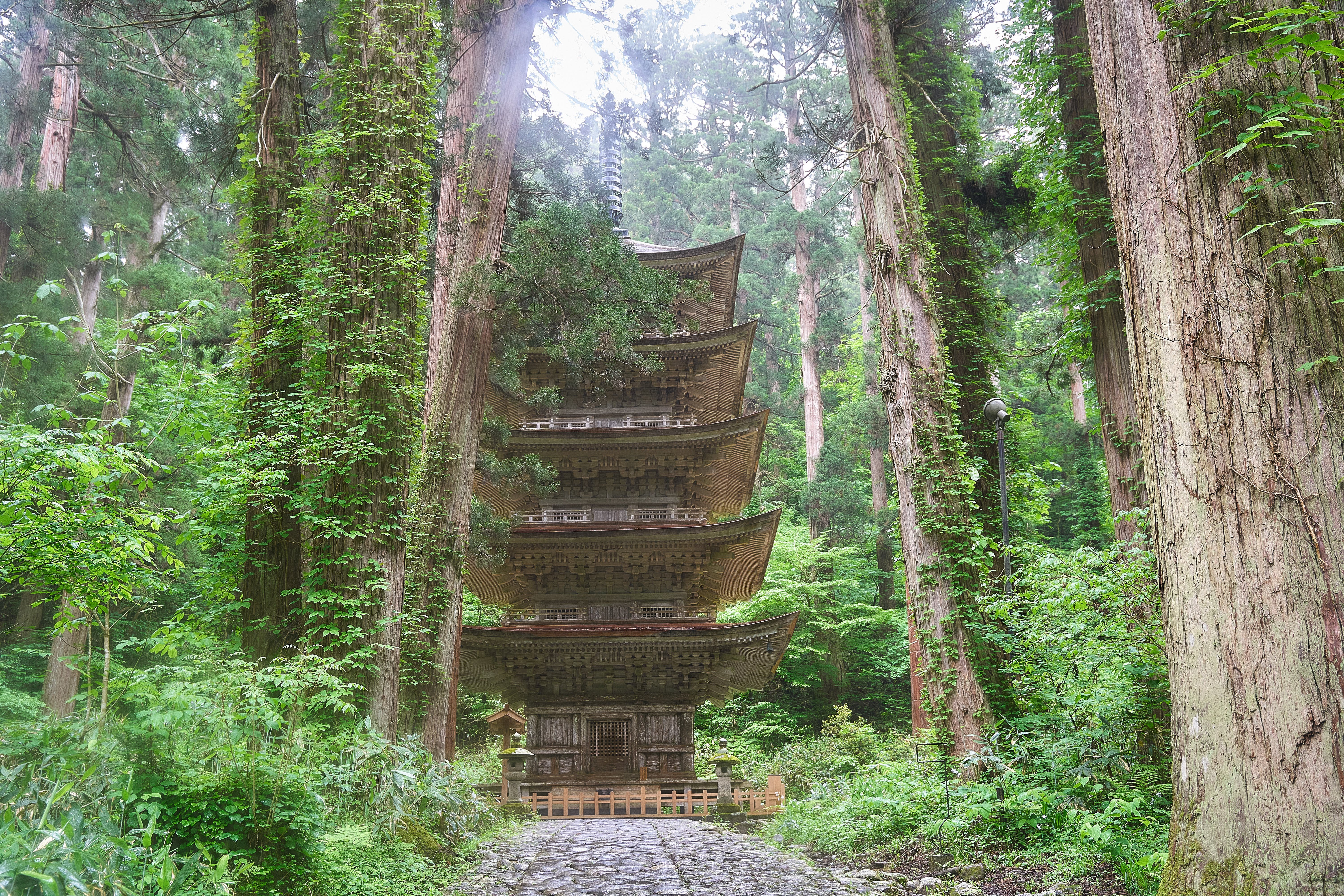 巨摩・市川三郷の１００年/樹林舎/齋藤康彦（大型本） 巨摩・市川三郷の100年 : 写真アルバム | NDLサーチ | 国立国会