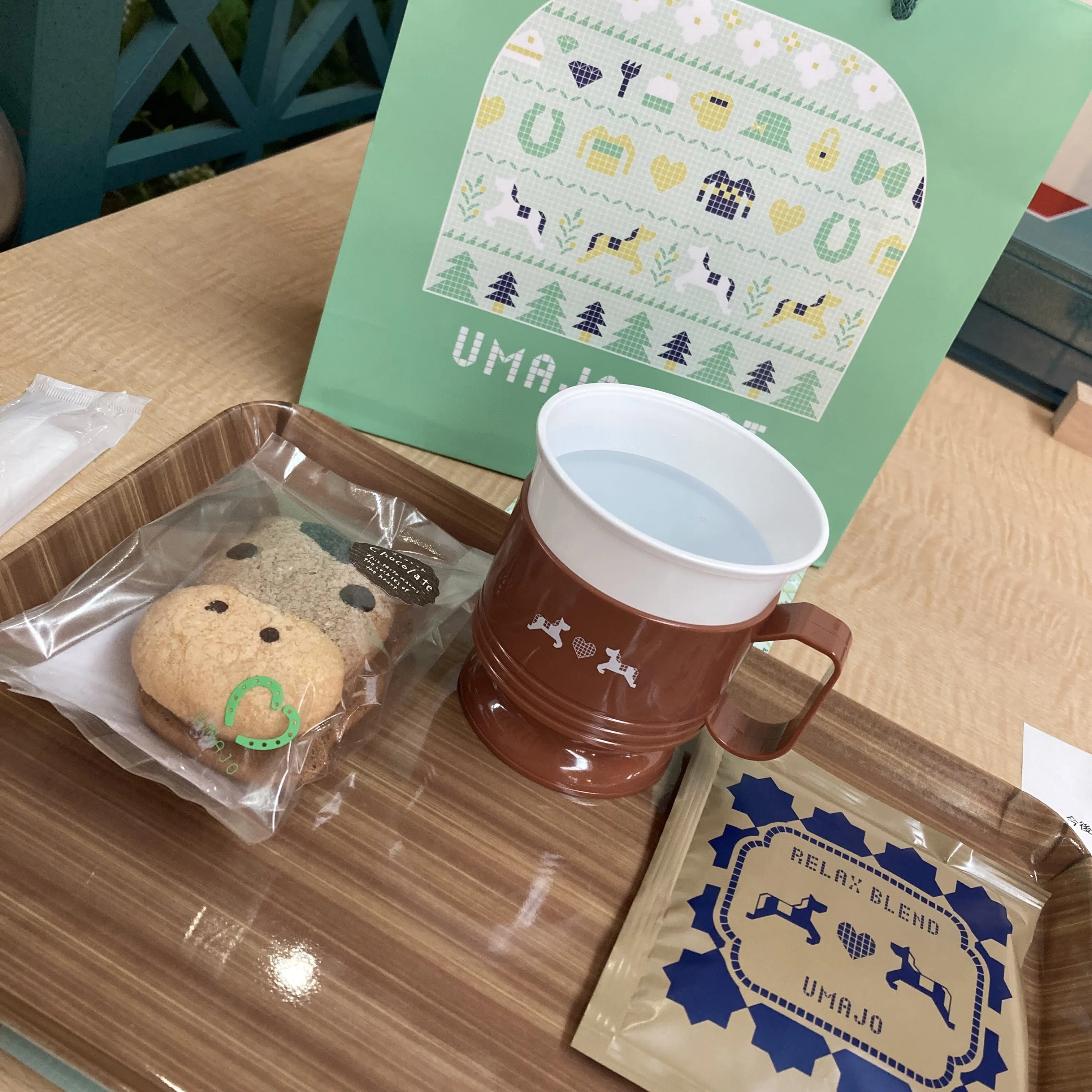 23【UMAJO】ダービー前日に東京競馬場に行った話｜旅するにゃんこの足跡