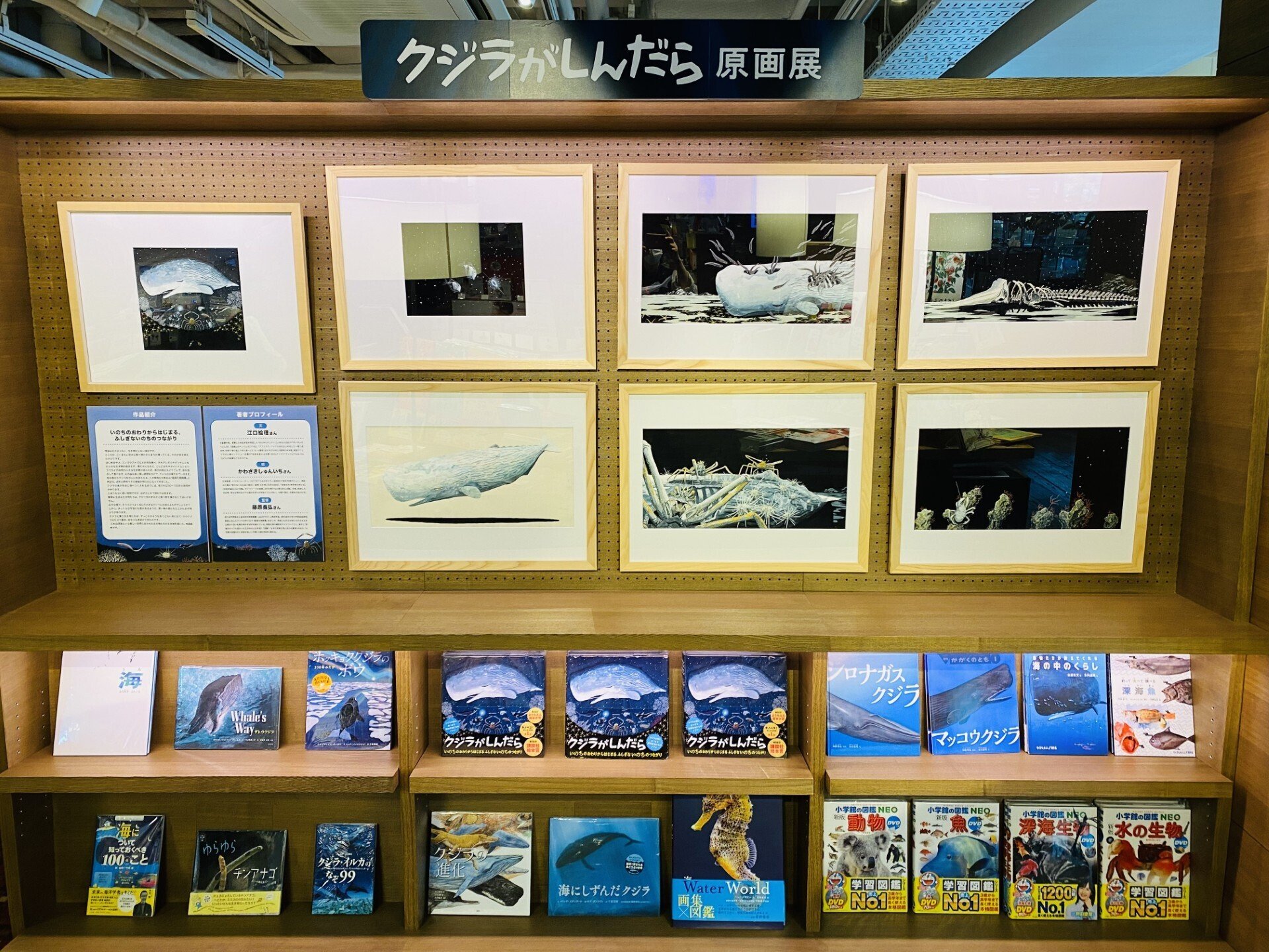 早くも10刷！ 『クジラがしんだら』トークイベント開催決定！｜童心社