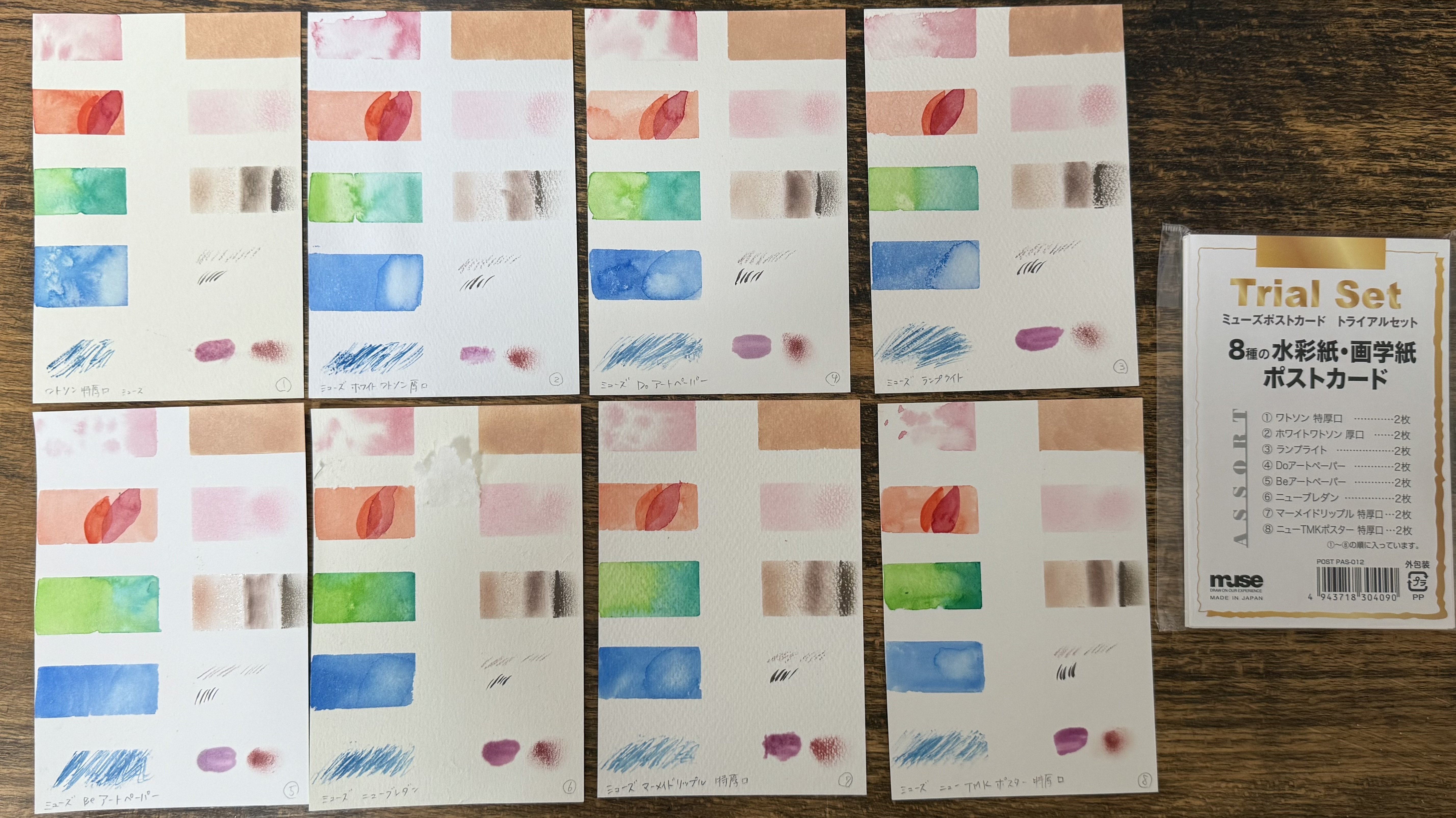 水彩の紙描き比べ｜成智らい/chisaki