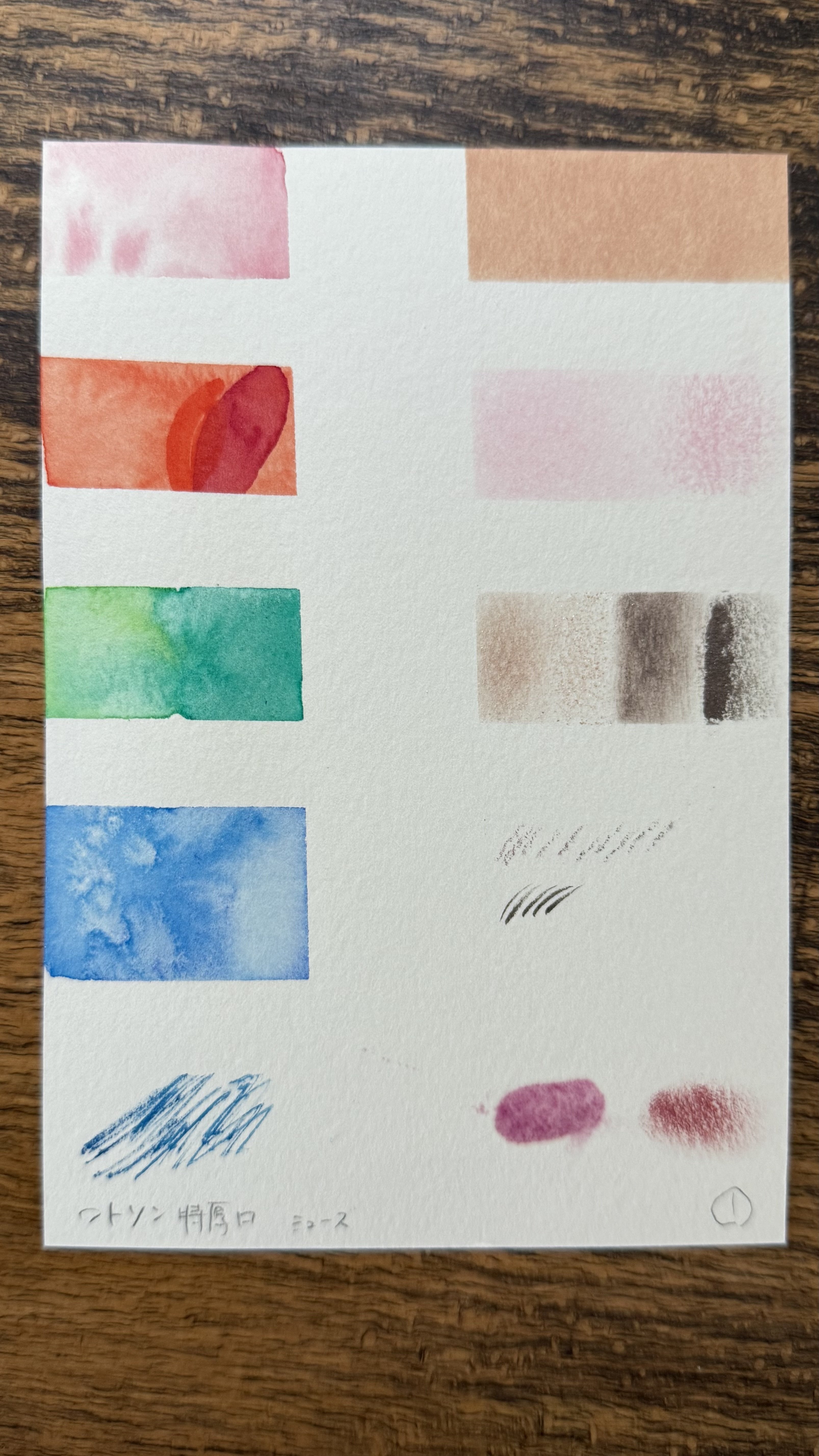 水彩の紙描き比べ｜成智らい/chisaki