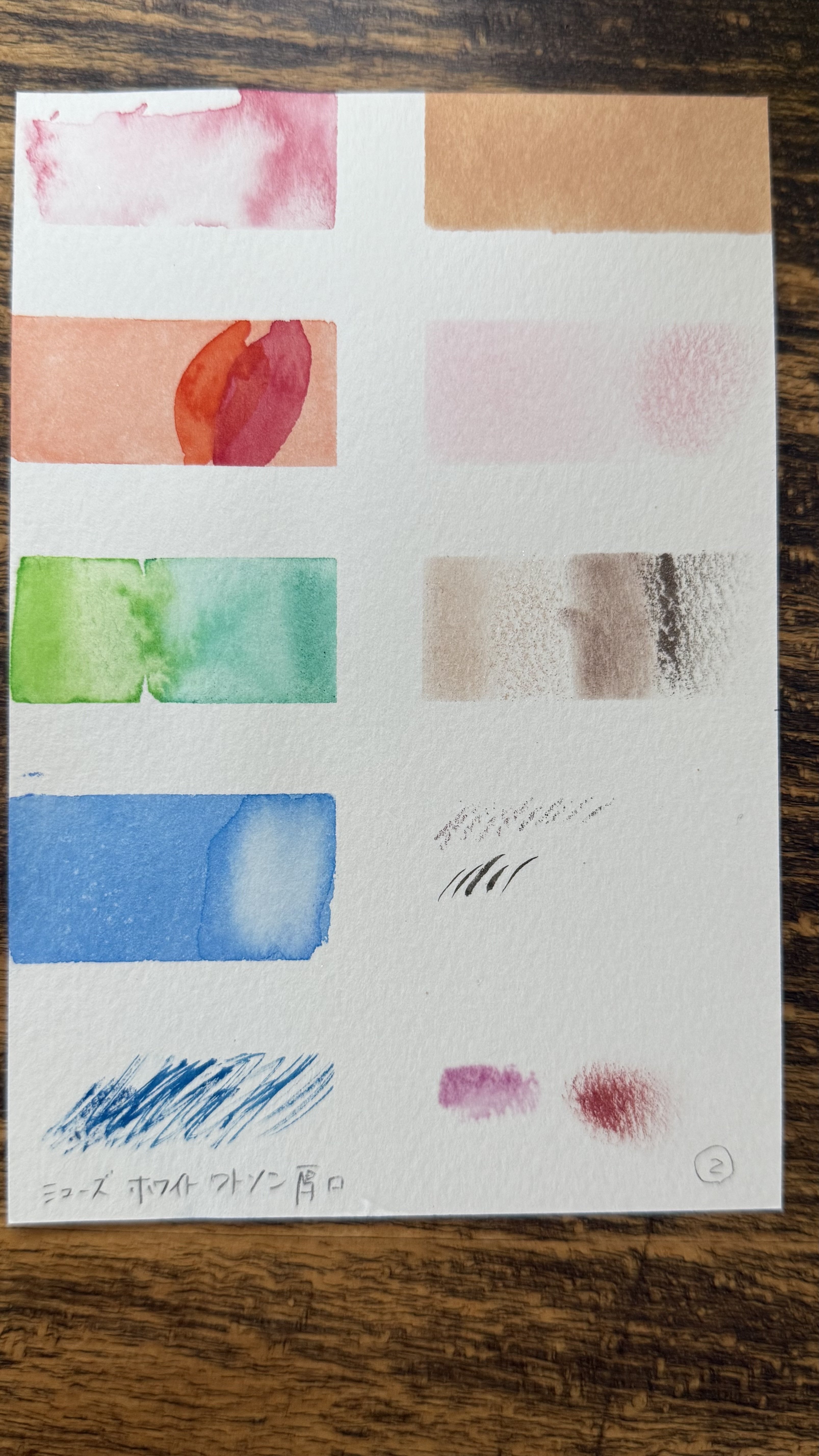 水彩の紙描き比べ｜成智らい/chisaki