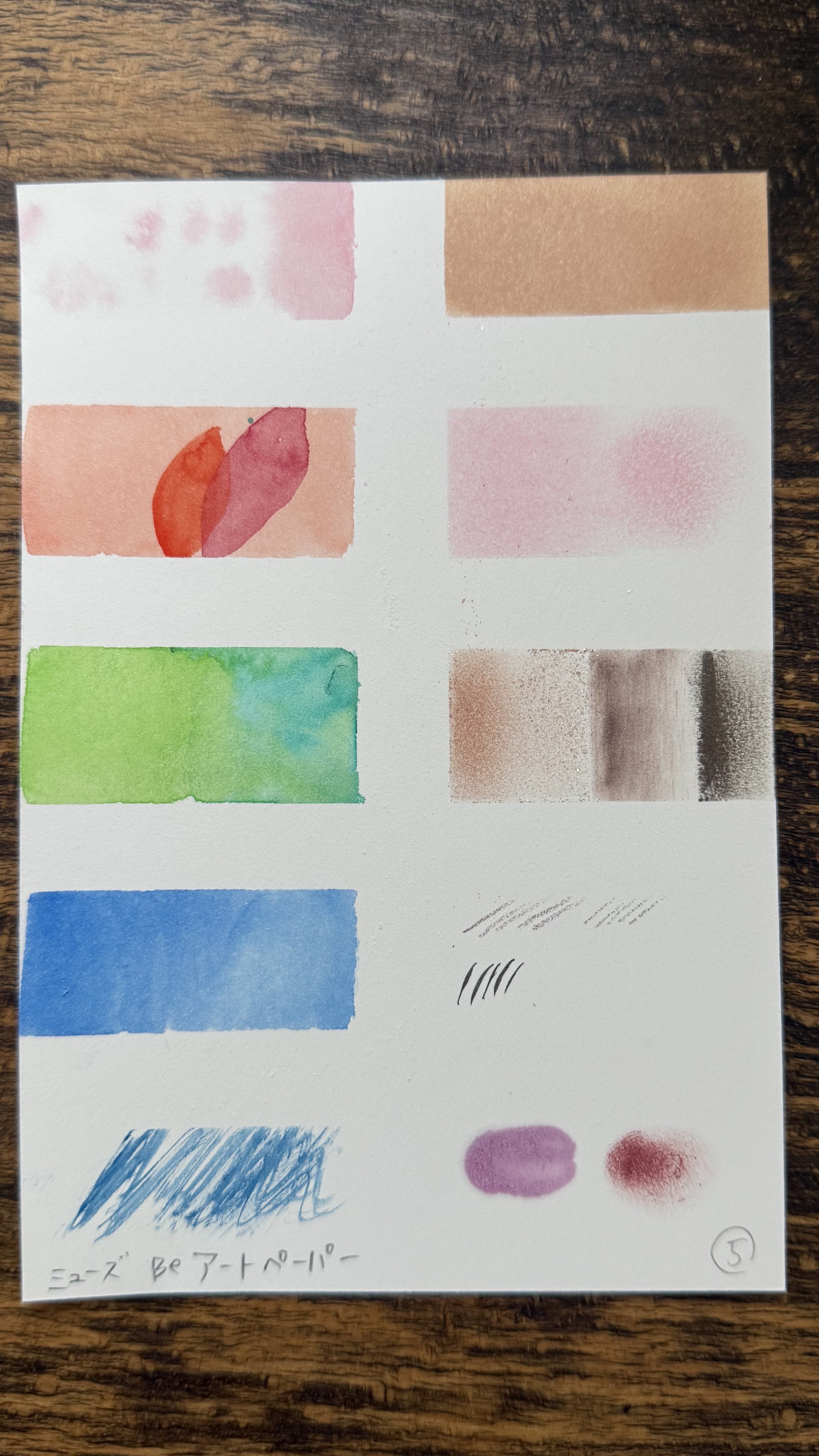 水彩の紙描き比べ｜成智らい/chisaki
