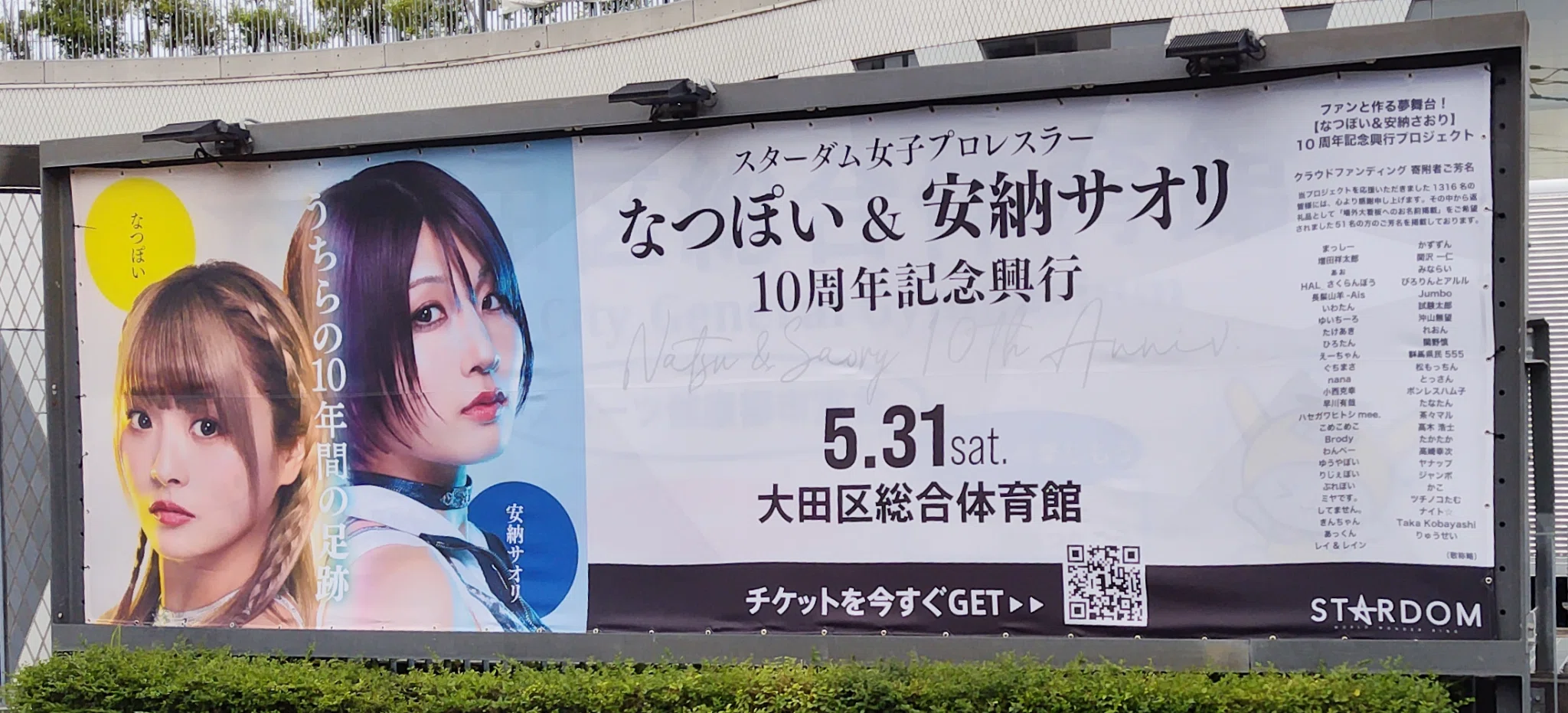 これまでのことと、これからのこと／【プロレス】『なつ&さおりー 来