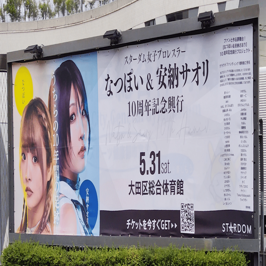 これまでのことと、これからのこと／【プロレス】『なつ&さおりー 来