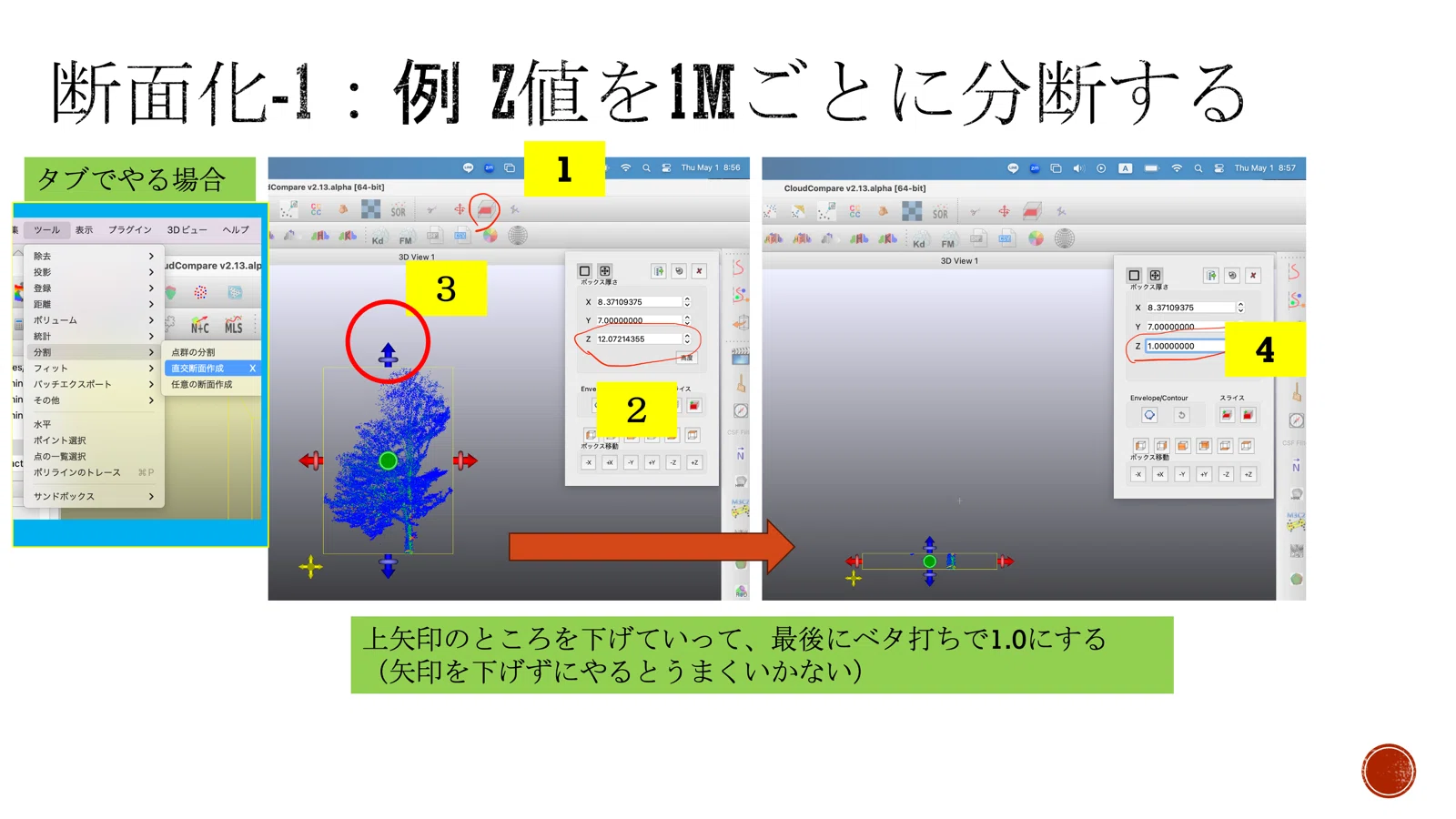 Forest/Single Tree 3D Analysis - Single Tree Analysis - 4. Cross ...
