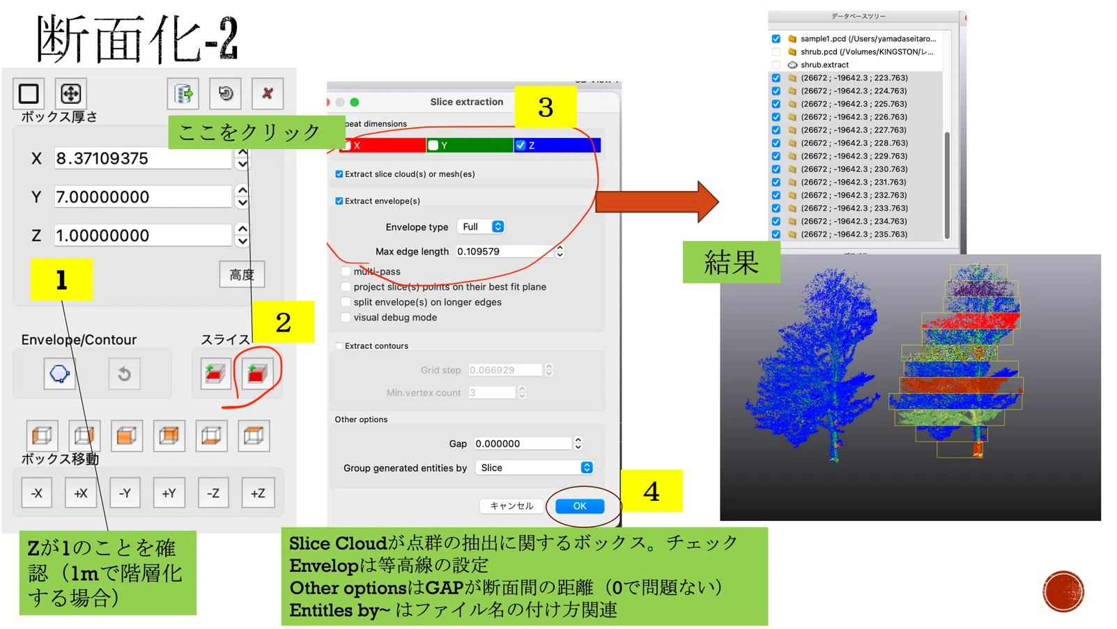 Forest/Single Tree 3D Analysis - Single Tree Analysis - 4. Cross ...