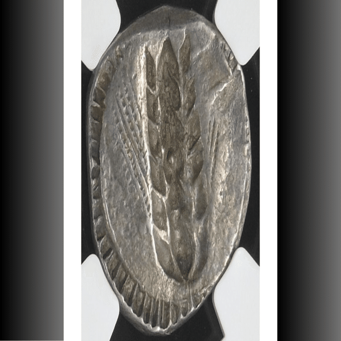 銀の麦穂”が語る豊穣──メタポンティオン・スターテルで読む南