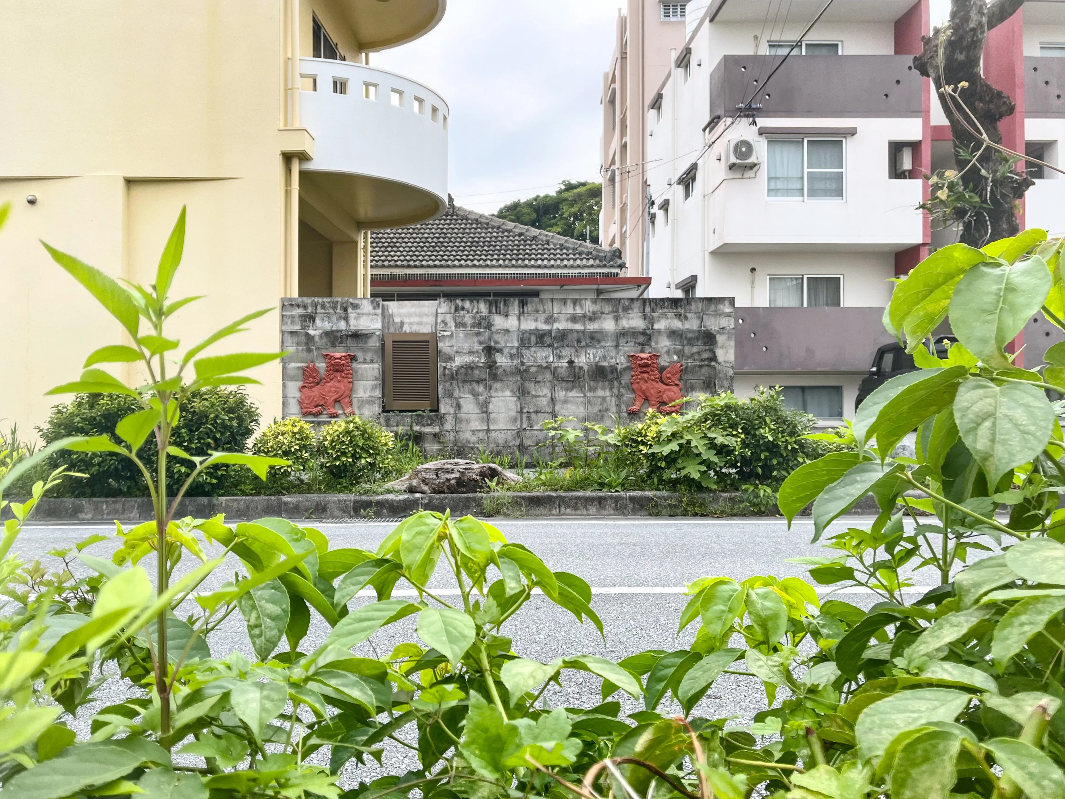 沖縄の「シーサーがいっぱいいる」だけの道｜eni y