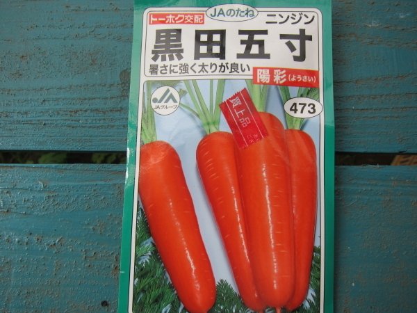 ファイルNo11「にんじん成長記録」｜mi.no.ri.