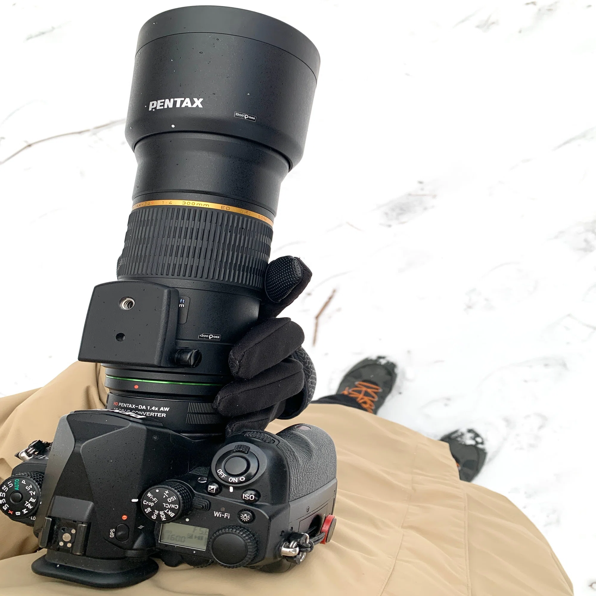 フリートライアル備忘録④ DFA150-450mm F4.5-5.6 & DA☆300mm F4｜がま