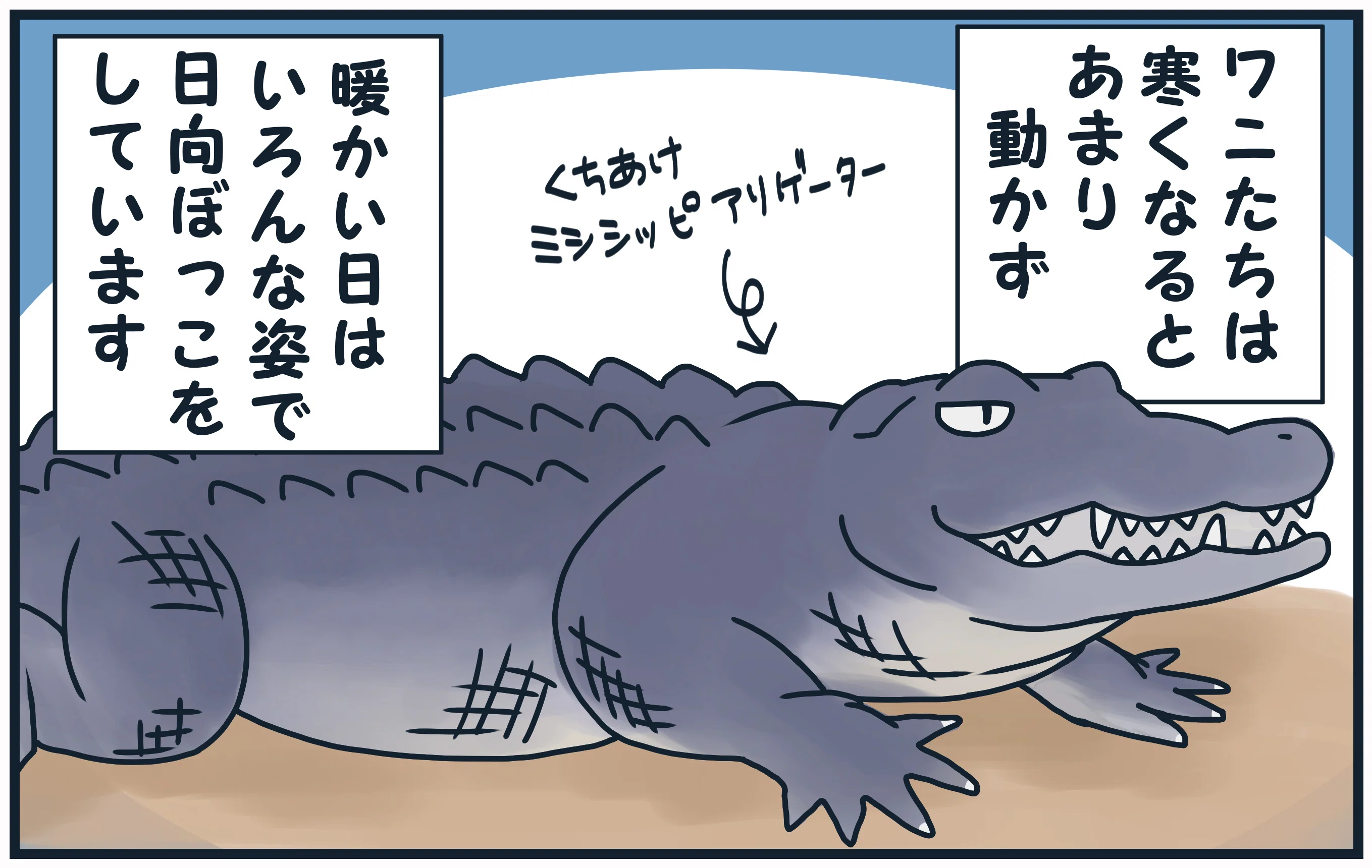 第16弾「ワニの寝相」｜沖縄こどもの国 Okinawa Zoo & Museum