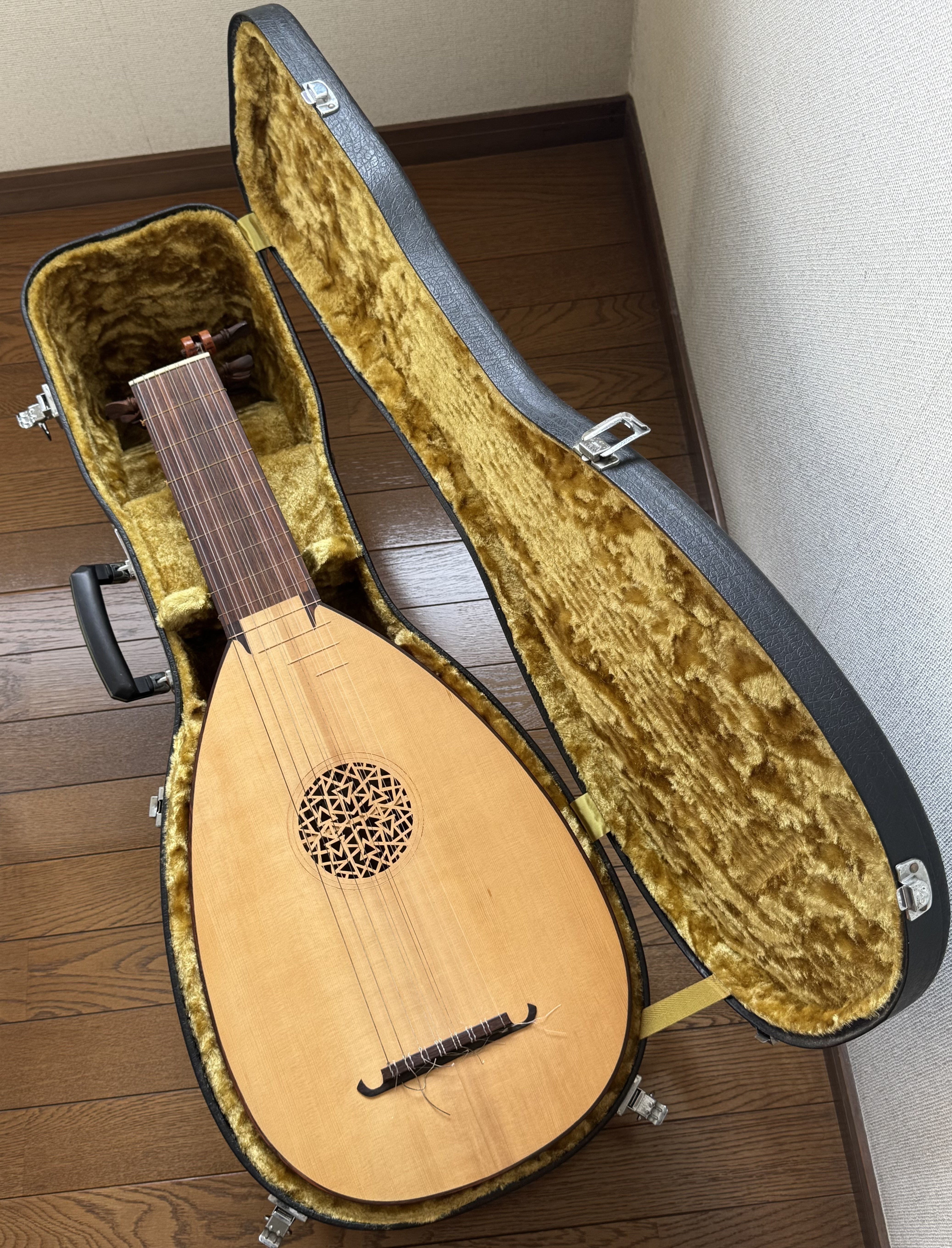 Aria Luteの光と影｜まんぼう
