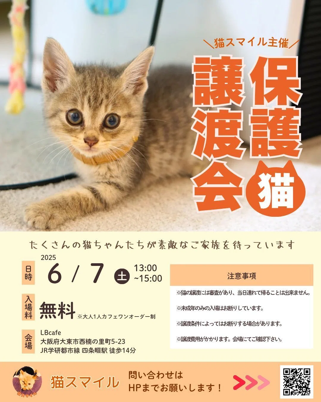 猫スマイル保護猫譲渡会のお知らせ(6/7)｜マユシム