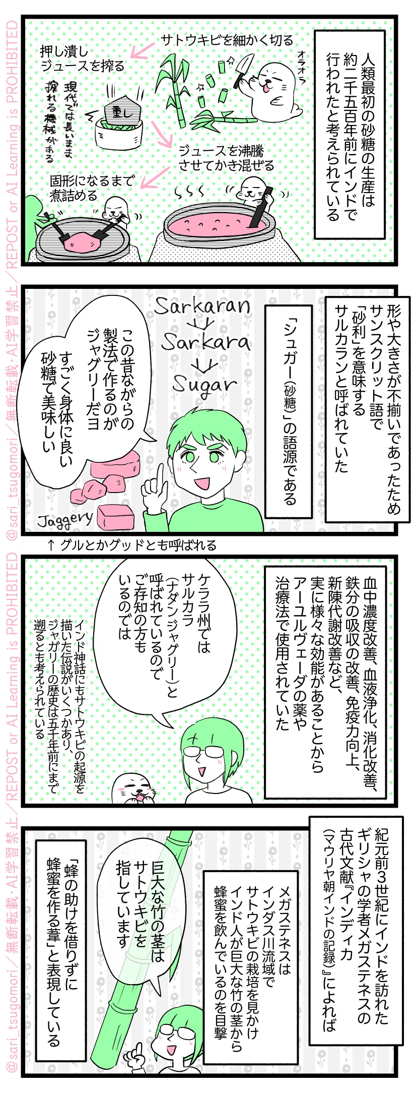 ４コマ漫画のテキスト
１：
人類最初の砂糖の生産は約 2,500 年前にインドで行われたと考えられている。［１］
［サトウキビを細かく切る→押し潰しジュースを搾る（現代ではサトウキビをカットせず長いままジュースを搾る機械がある）→ジュースを沸騰させてかき混ぜる→固形になるまで煮詰める］
２：
形や大きさが不均一であったためサンスクリット語で「砂利」を意味するサルカラン（Sarkaran）と呼ばれていた。これは「シュガー（Sugar／砂糖）」の由来となる言葉である。
夫「この昔ながらの製法で作るのが現代のジャグリ（Jaggery）ーだヨ。すごく身体に良い砂糖で美味しい」※ジャグリーの呼び方はグル、グッド等いろいろある。
３：
血中濃度改善、血液浄化、消化、鉄分の吸収の改善、免疫力向上、新陳代謝改善など、実に様々な効能があることから、アーユルヴェーダの薬や治療法で使用されていた。［２］
津籠「ケララ州では、 サルカラ (ナダン ジャグリー) の名前で呼ばれているのでご存知の方もいるのでは」［３］
［インド神話にもサトウキビの起源を描いた伝説がいくつかあり、ジャガリーの歴史は5000 年前にまで遡るとも考えられている］
４：
紀元前 3 世紀にインドを訪れたギリシャの学者メガステネスの古代文献『インディカ（マウリヤ朝インドの記録）』によればメガステネスはインダス川流域でサトウキビの栽培を見かけ、インド人が巨大な竹の茎から蜂蜜を飲んでいるのを目撃。
津籠「巨大な竹の茎はサトウキビを指しています」
「蜂の助けを借りずに蜂蜜を作る葦」と表現している。［４］