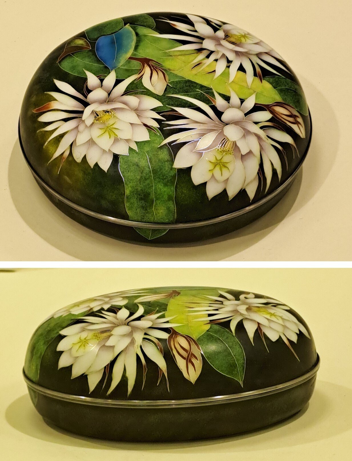 第65回東日本伝統工芸展」日本橋三越：有線七宝の和模様、絵柄に注目