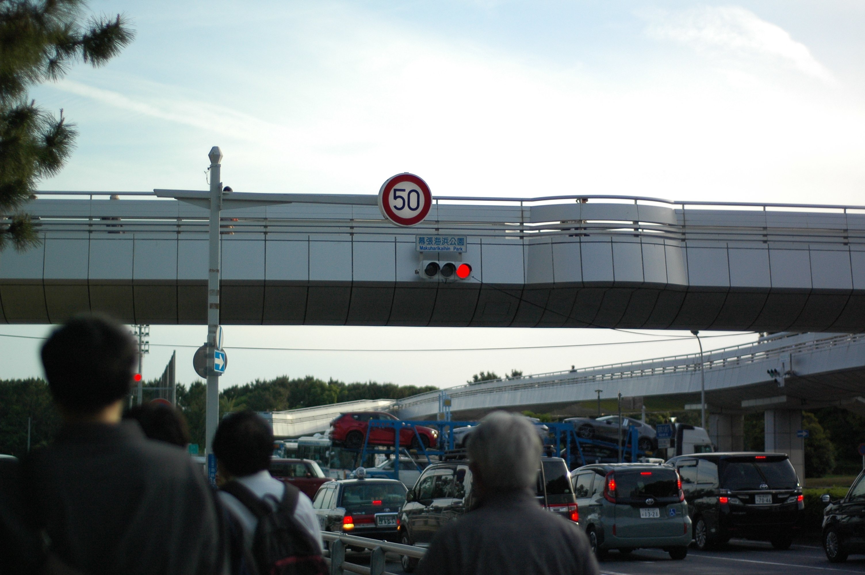 Nikon D70s スナップ実写レビュー2025｜Lbire