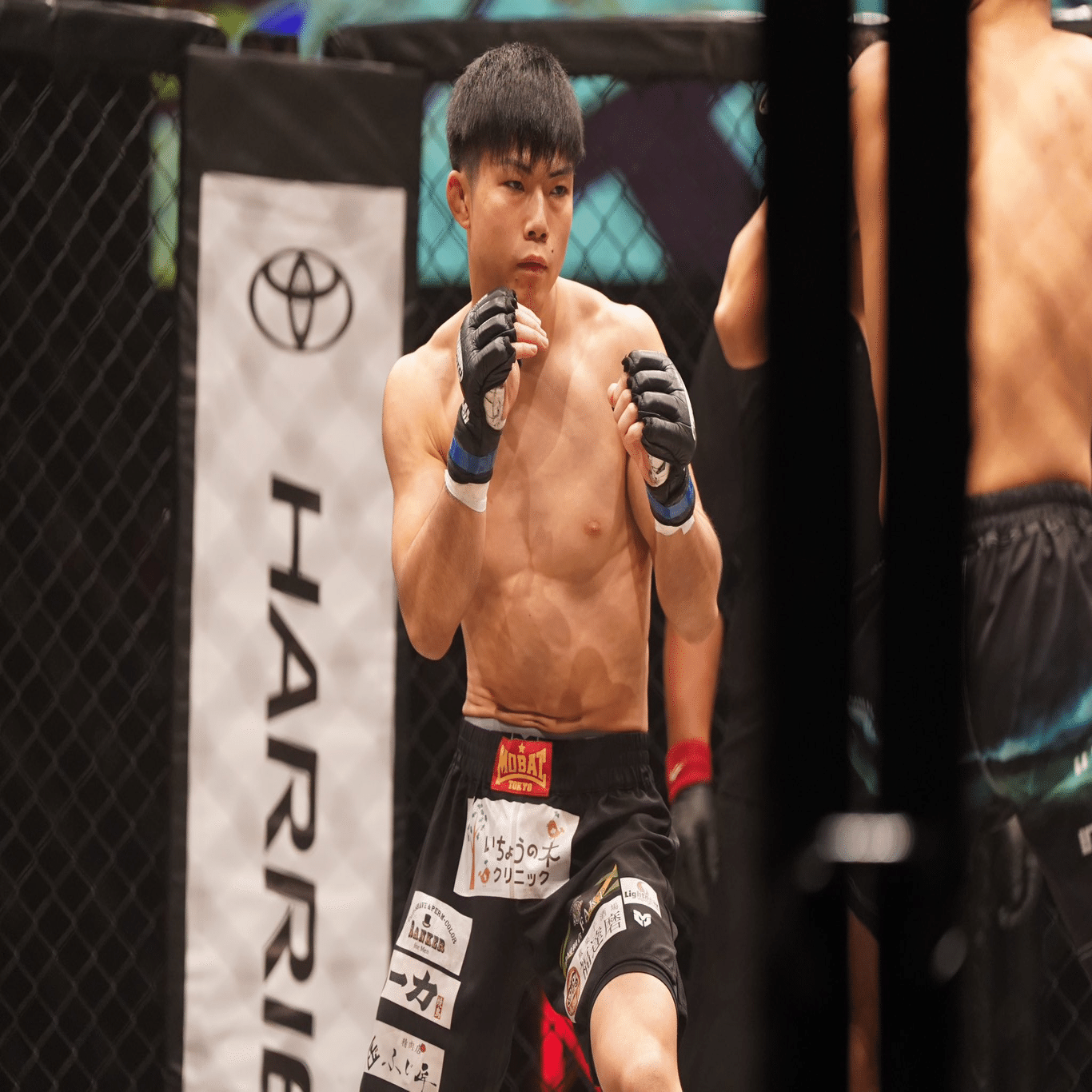 プロ修斗広島大会 TORAO36 情報（2025年7月13日）｜Gigio