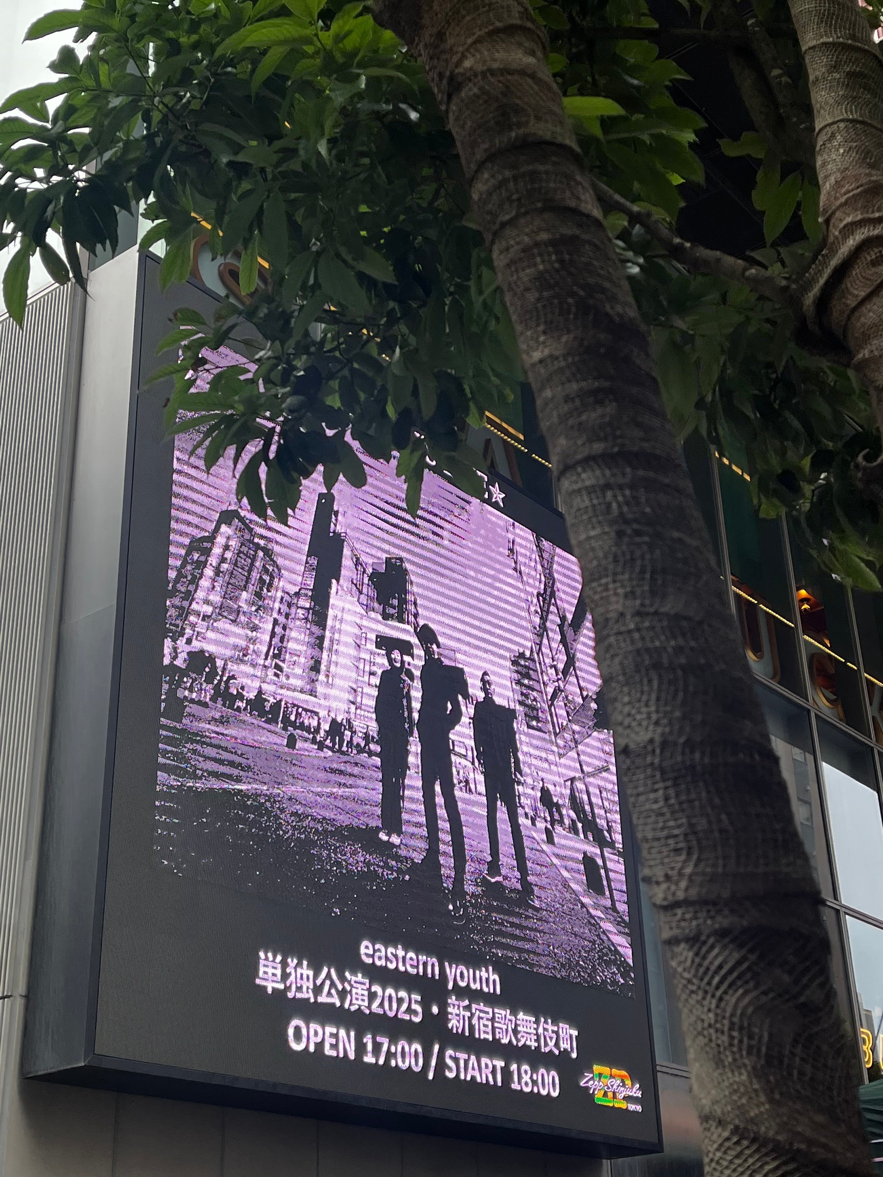 ライブレポート】2025/5/31 eastern youth 単独公演2025＠Zepp