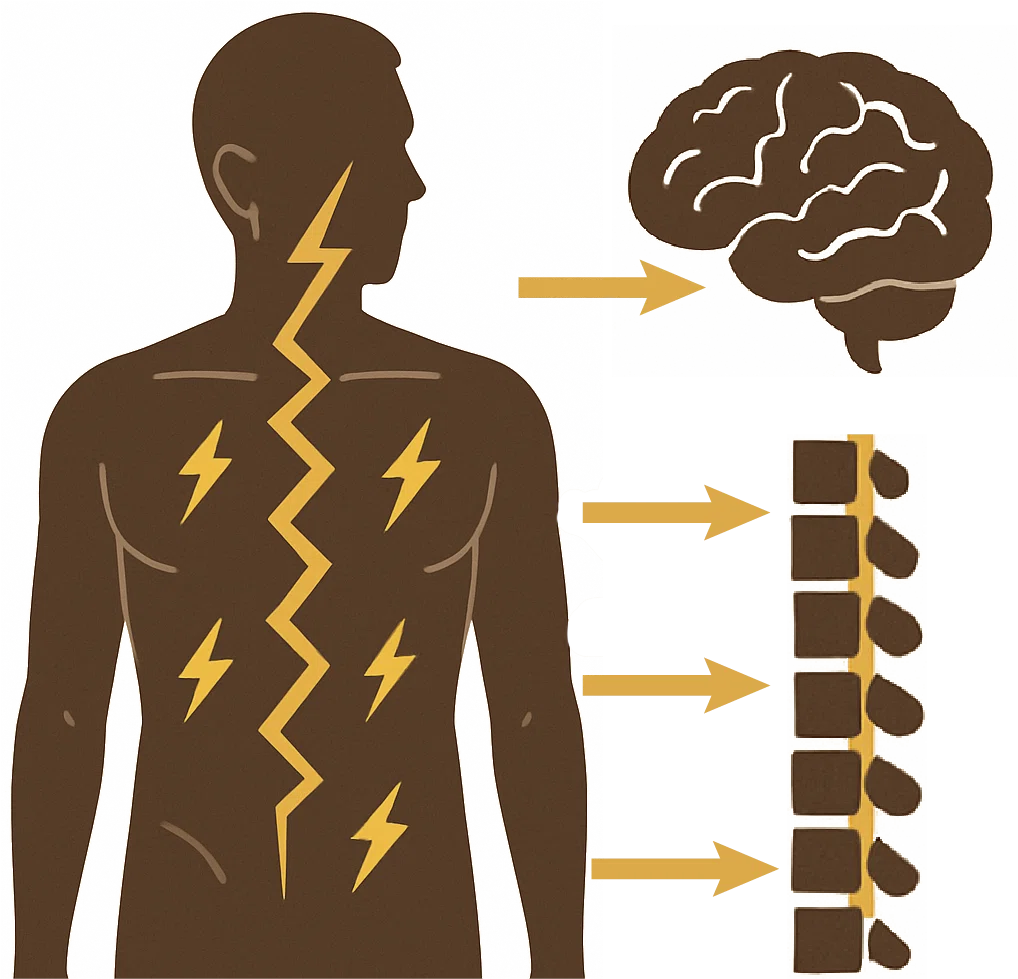 あなたの慢性症状、脳からの“信号エラー”が関係しているかも？ ー 電気信号と体調不良の意外な関係ー｜保井志之＠米国公認ドクターオブカイロプラクティック