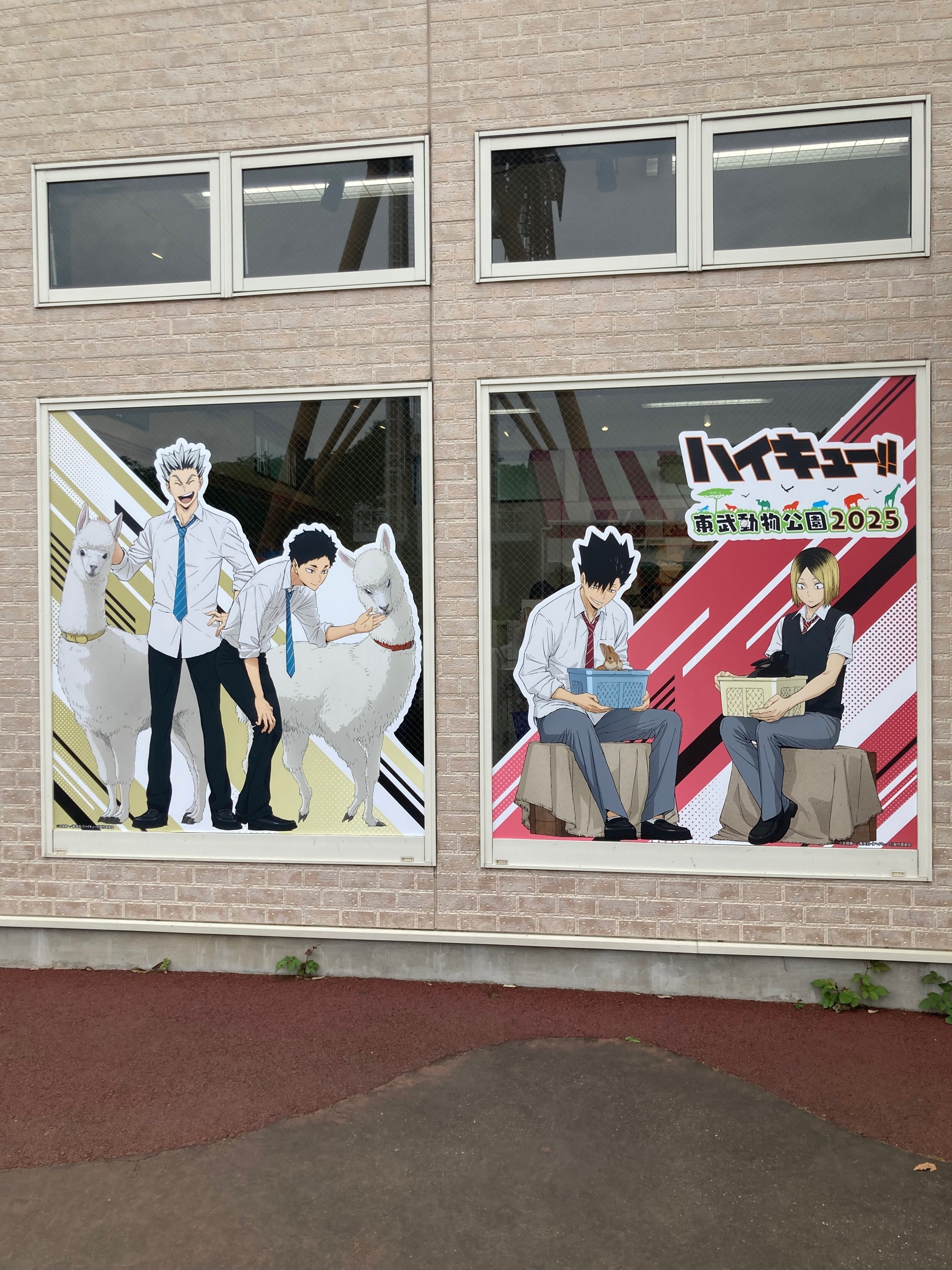 ☆オタ活日記 ハイキュー東武動物公園｜桜