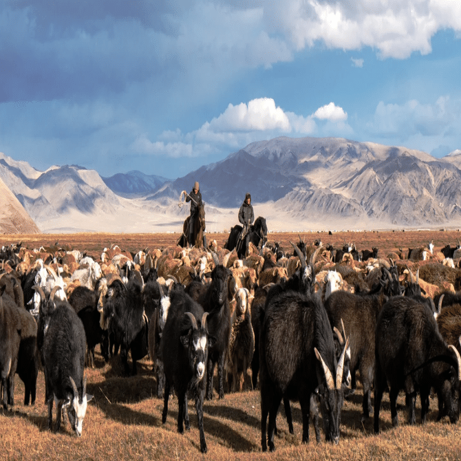 🇰🇿カザフスタン～自由な遊牧民の国～🏇｜ともき