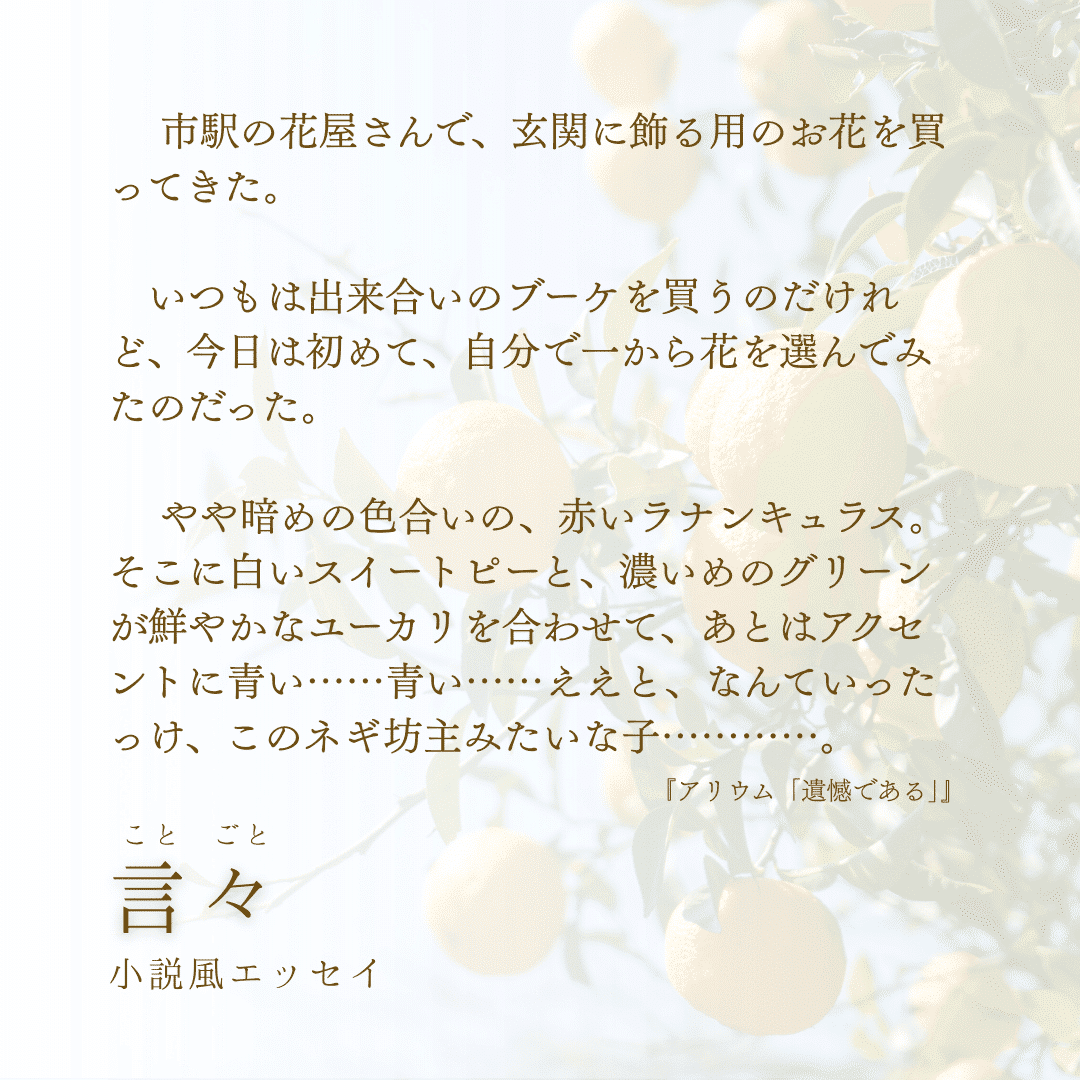 6/28 ひらかたブックバザールを開催します【全出店者、発表し 6/28 ひらかたブックバザールを開催します【全出店者、発表し