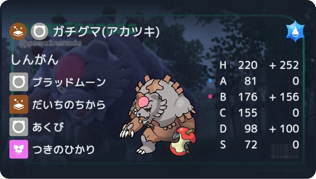 やさしいカイリュー わるいリザードン ライコウ&スイクン ギザみみ