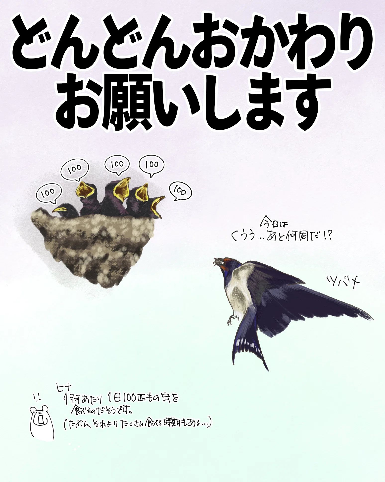 どんどんおかわりお願いします｜ツバメ｜くますけ｜自然ガイド