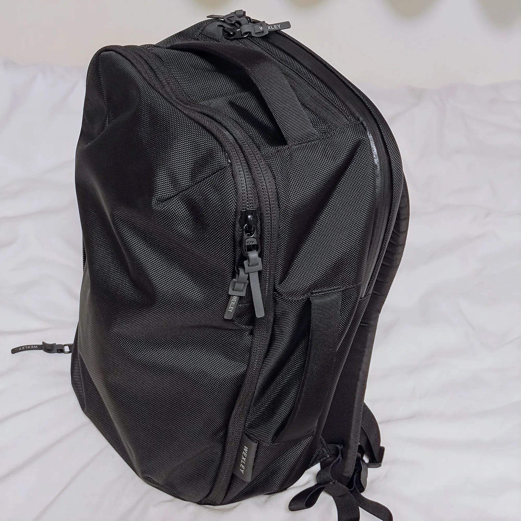 WEXLEY TAYLOR PRO PACK】2か月間通勤用＋2泊3日大阪旅行での使用感 