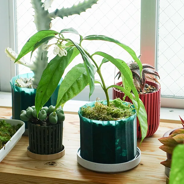 3Dプリント植木鉢はコーヒーと似ている——ふしぎデザイン秋山慶太が