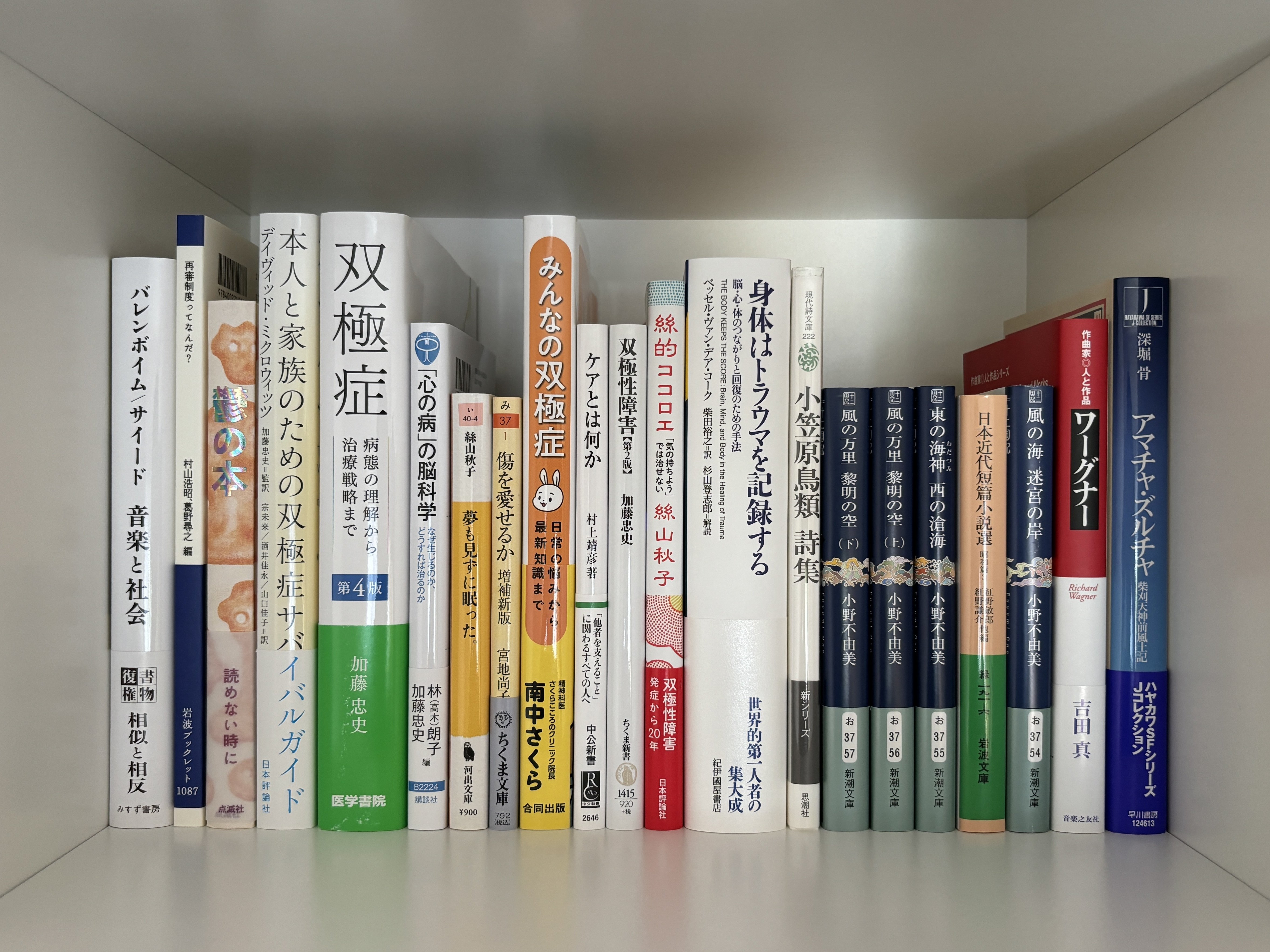購入本 #013 （2025年1月～2月頃）｜地中キャンプ 内田弘樹 架空